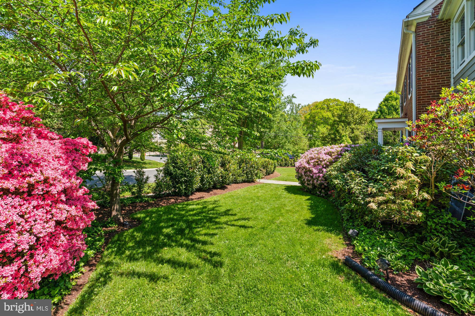 CHEVY CHASE - Residential