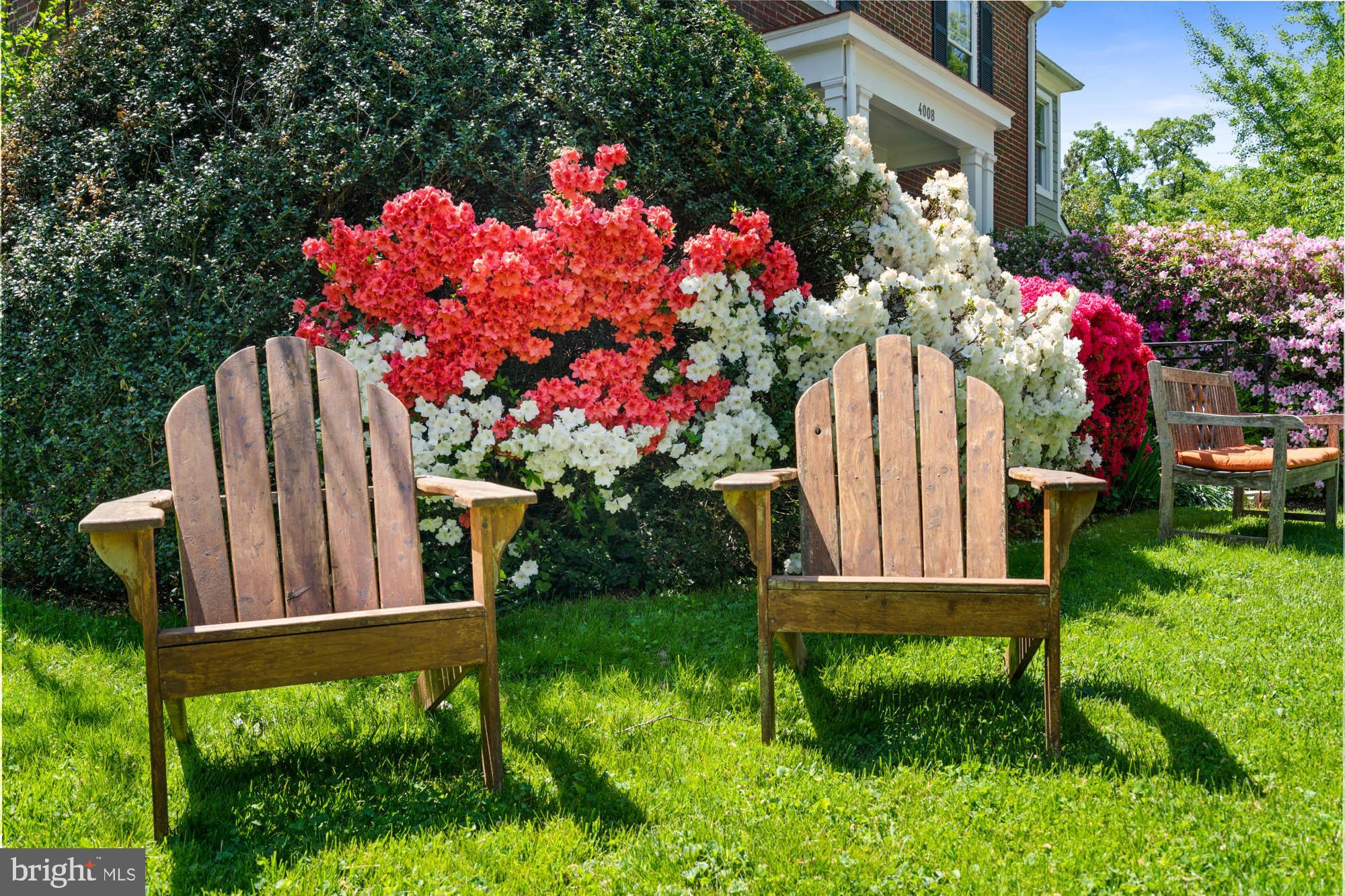 CHEVY CHASE - Residential