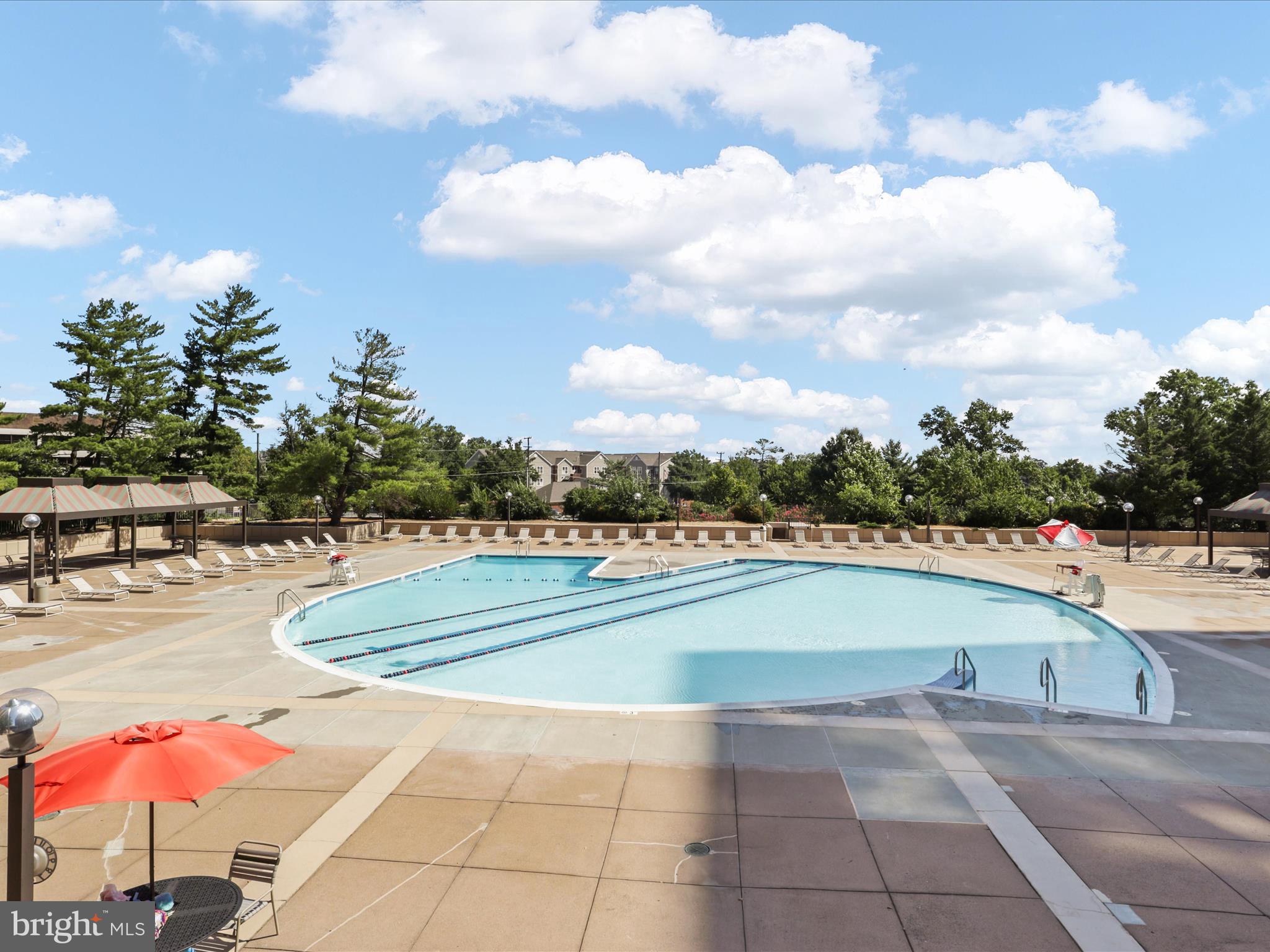 SKYLINE PLAZA - Residential Lease