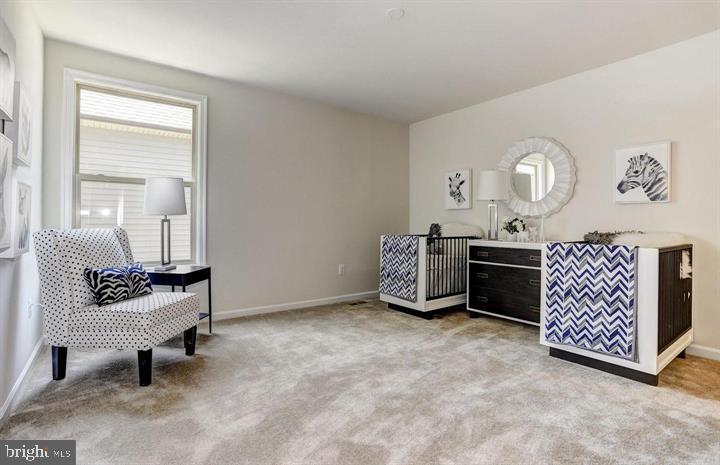 ESTATES AT PATAPSCO PARK - Residential