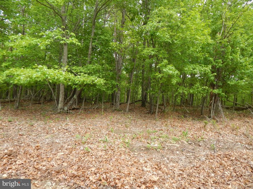 Wooded two lots that are deeded separate in Oak Forest Subdivision.  Build your dream home. Close to Cacapon State Park and Sleepy Creek State Park and 522. You can purchase one lot for 60,000.00. Two lots are available. There's a stream at the bottom of the lots.  SELLER IS MOTIVATED! OWNER FINANCING AVAILABLE! Class I septic needed.