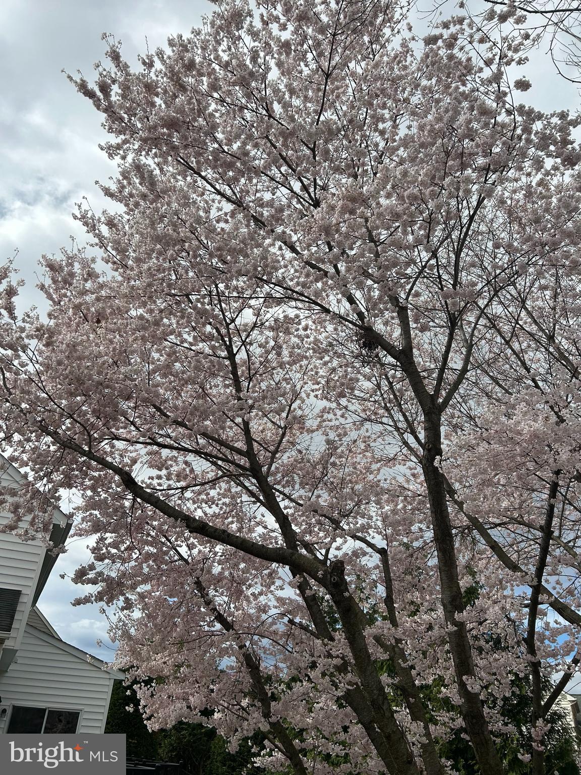 VILLAGES OF URBANA - Residential