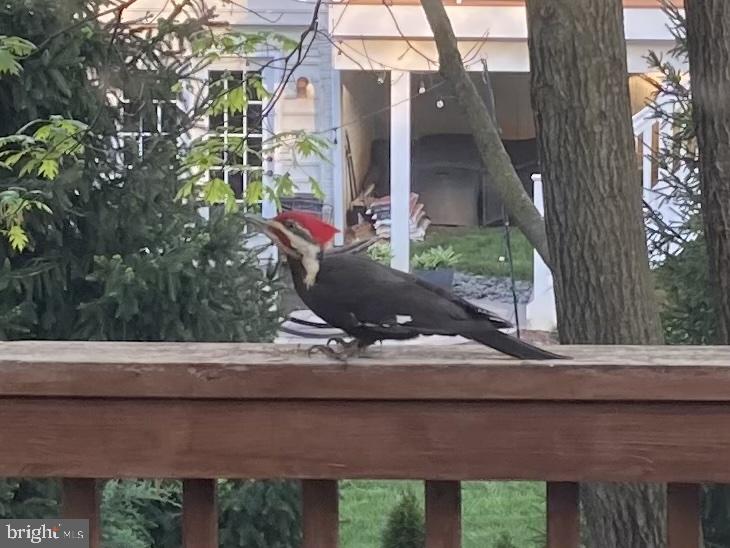 VILLAGES OF URBANA - Residential