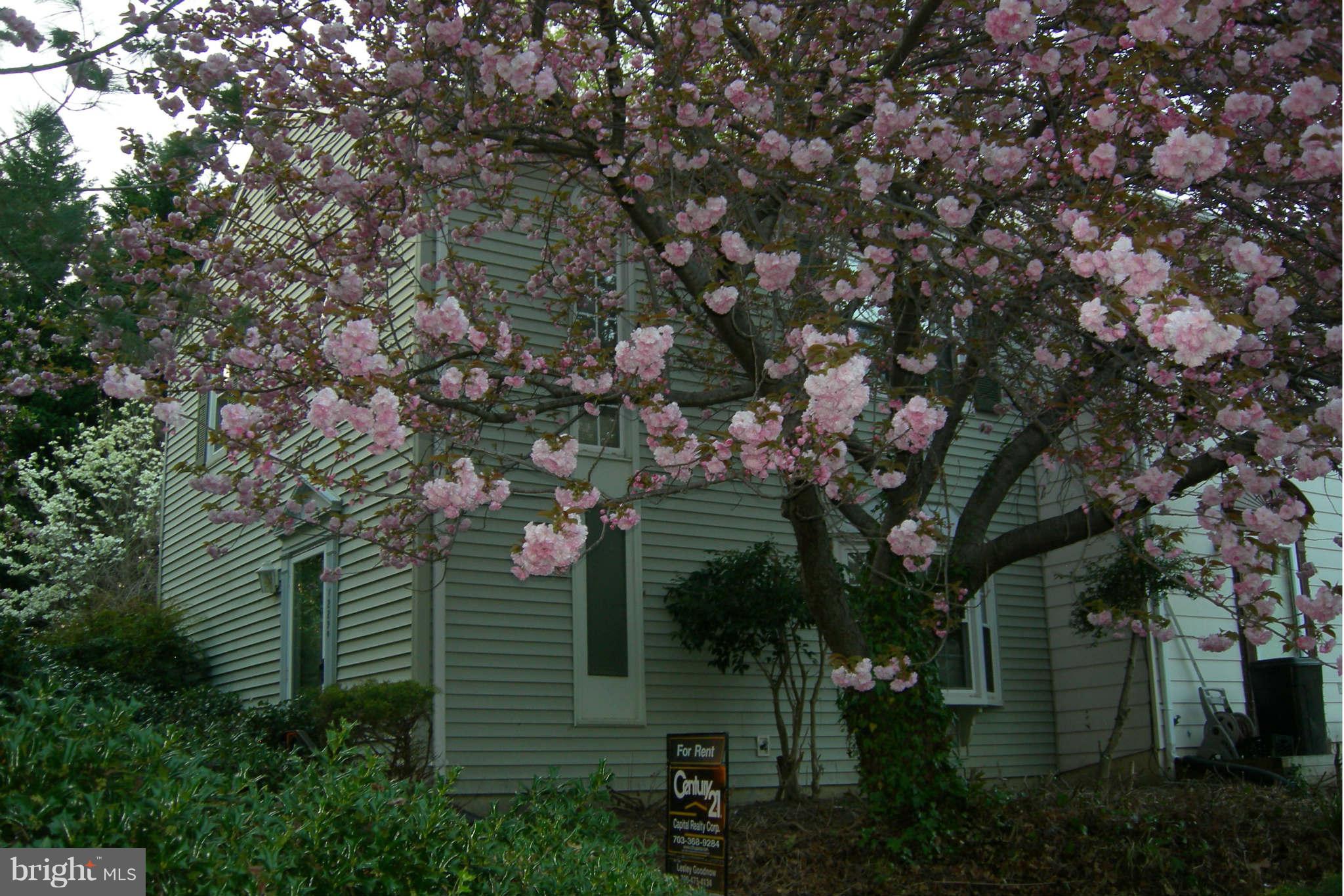 LAKE RIDGE - Residential Lease