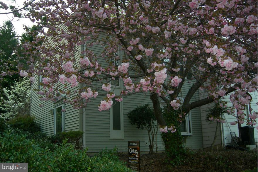 GREAT END TOWNHOUSE in LAKE RIDGE * FENCED BACKYARD * DECK * AVAILABLE JANUARY 1 * LIVING ROOM with BAY WINDOW * DINING ROOM with SLIDER TO DECK * CONVENIENT LOCATION for COMMUTERS *