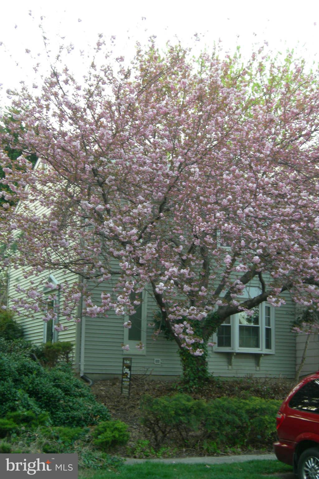 LAKE RIDGE - Residential Lease