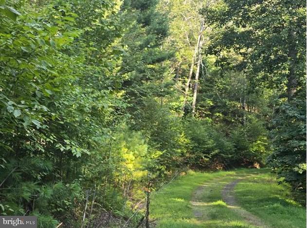 BLACKTHORN MOUNTAIN ESTATES - Land