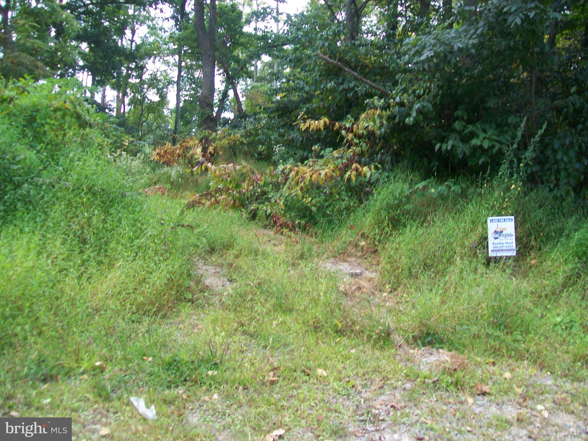 BLACKTHORN MOUNTAIN ESTATES - Land