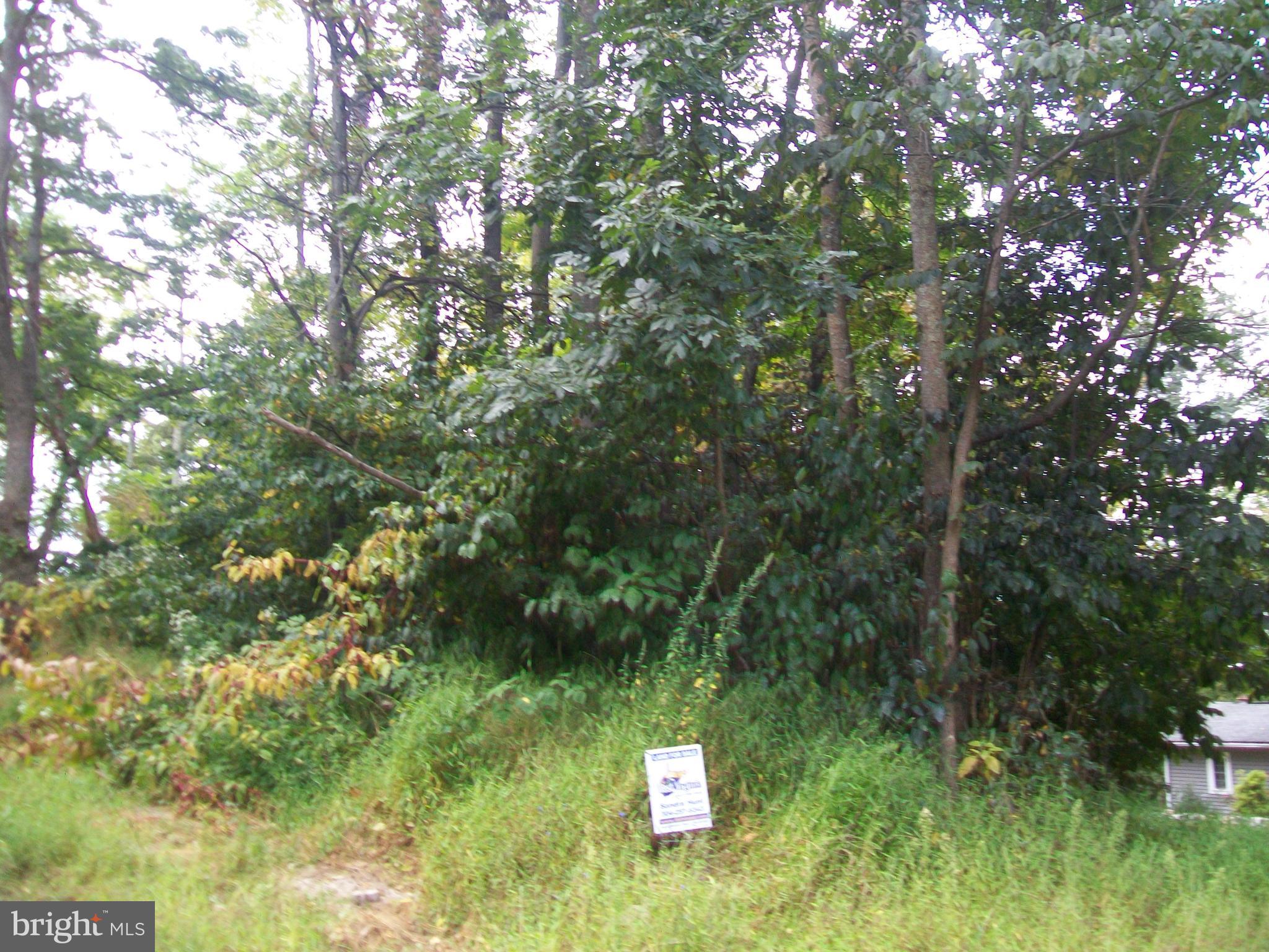 BLACKTHORN MOUNTAIN ESTATES - Land