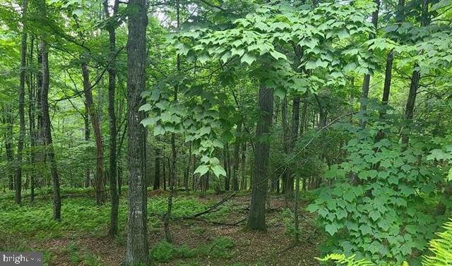 BLACKTHORN MOUNTAIN ESTATES - Land