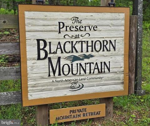 Vacant Land For Sale - Native Trout Drive<br/> SUGAR GROVE, WV 26815