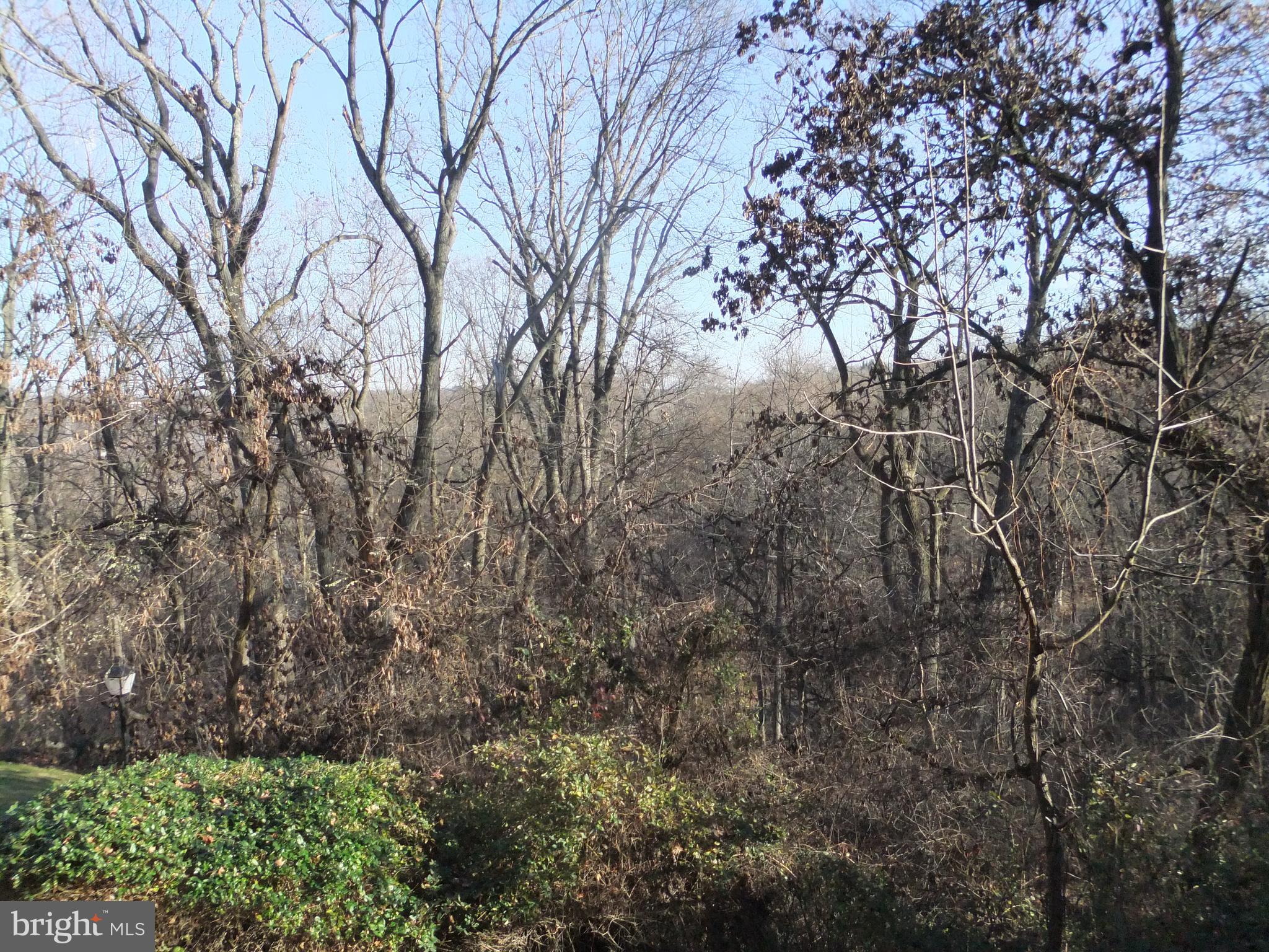 OAK HILL - Residential Lease