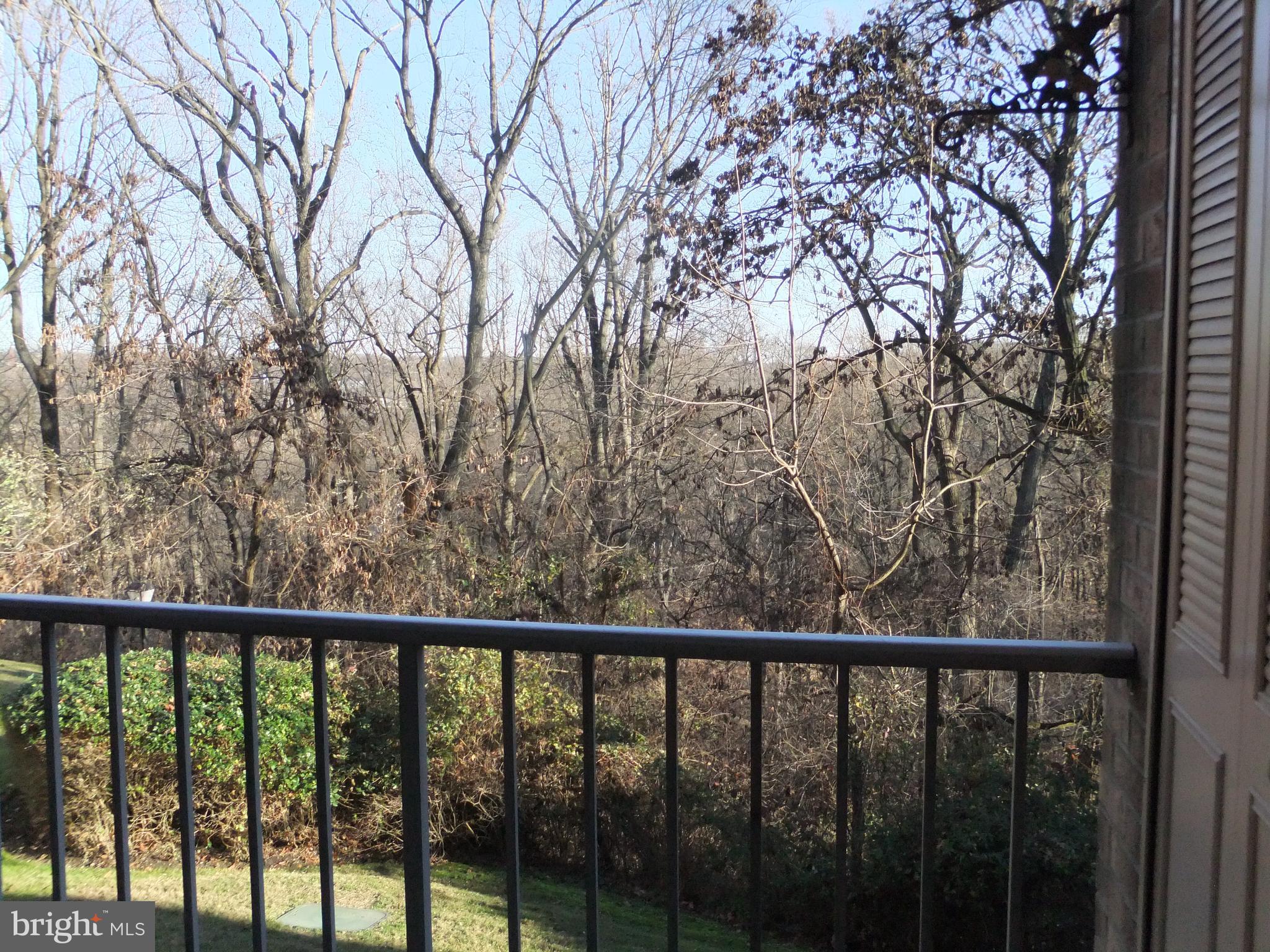 OAK HILL - Residential Lease