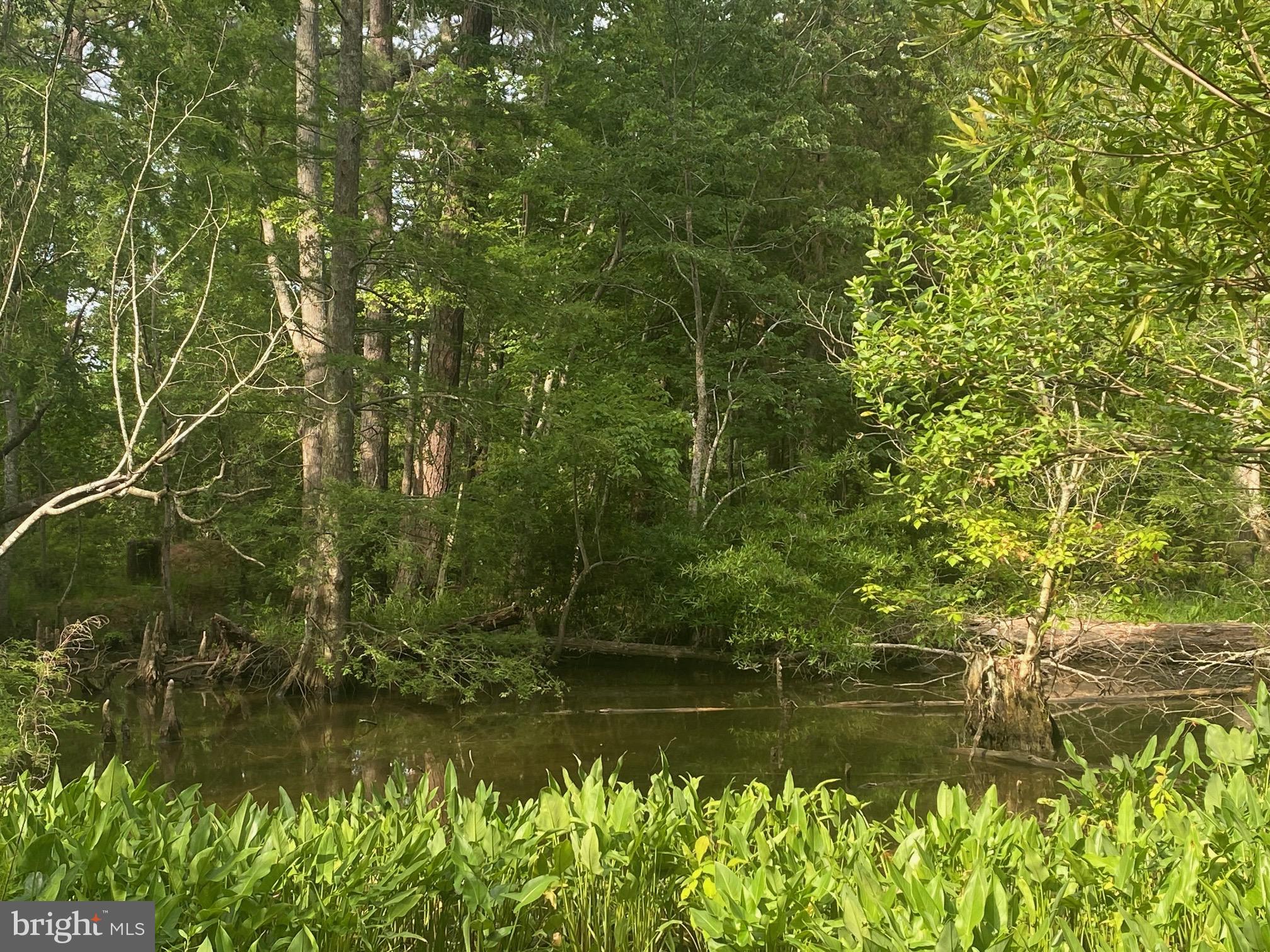 339 NECK-O-LAND ROAD