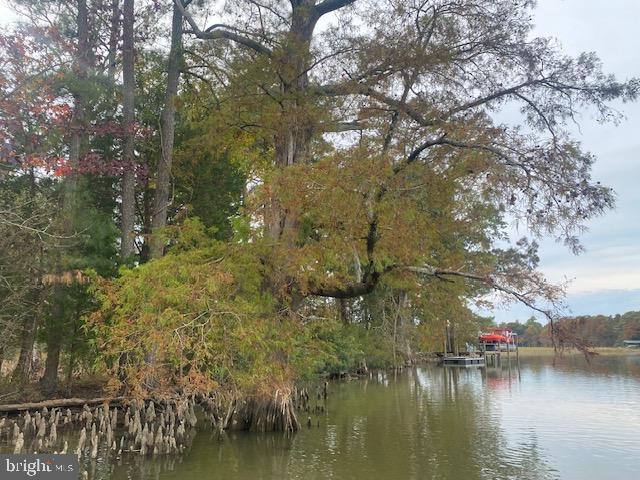 339 NECK-O-LAND ROAD