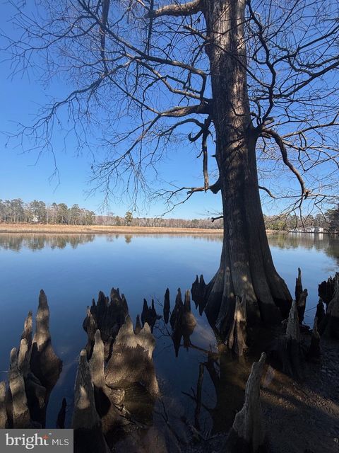 339 NECK-O-LAND ROAD WILLIAMSBURG VA 23185