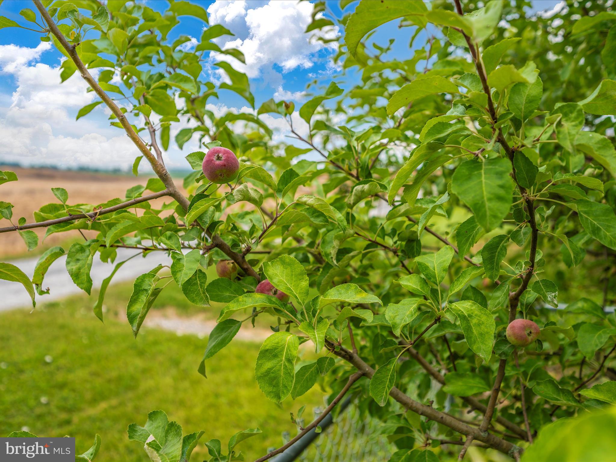 FOUNTAINVIEW - Residential