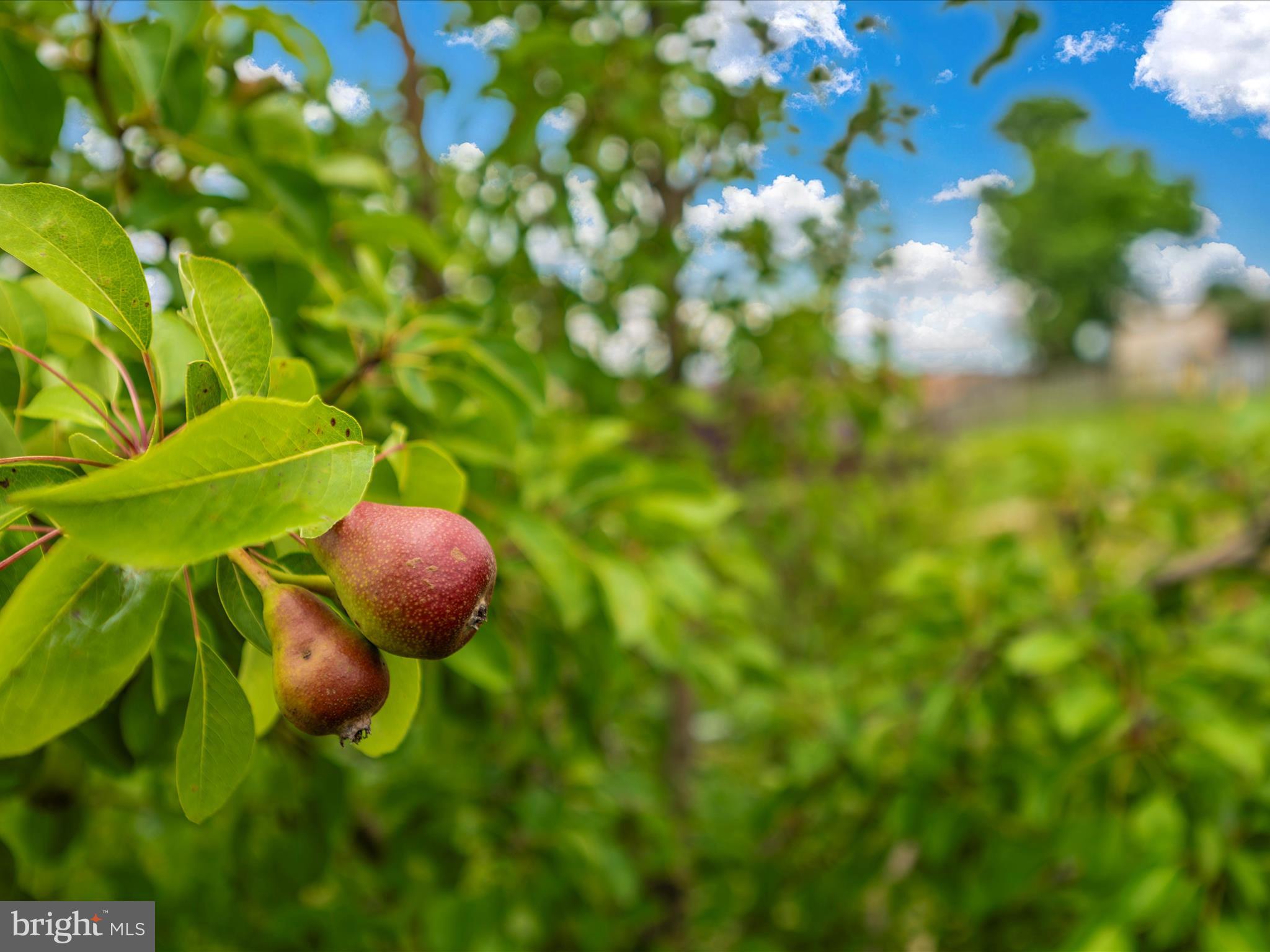 FOUNTAINVIEW - Residential