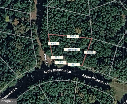 APPLE BLOSSOM DR, WINCHESTER, VA 22601 - Image a7b6d709dd25d631bfbb3f19e09a465b/1138420797