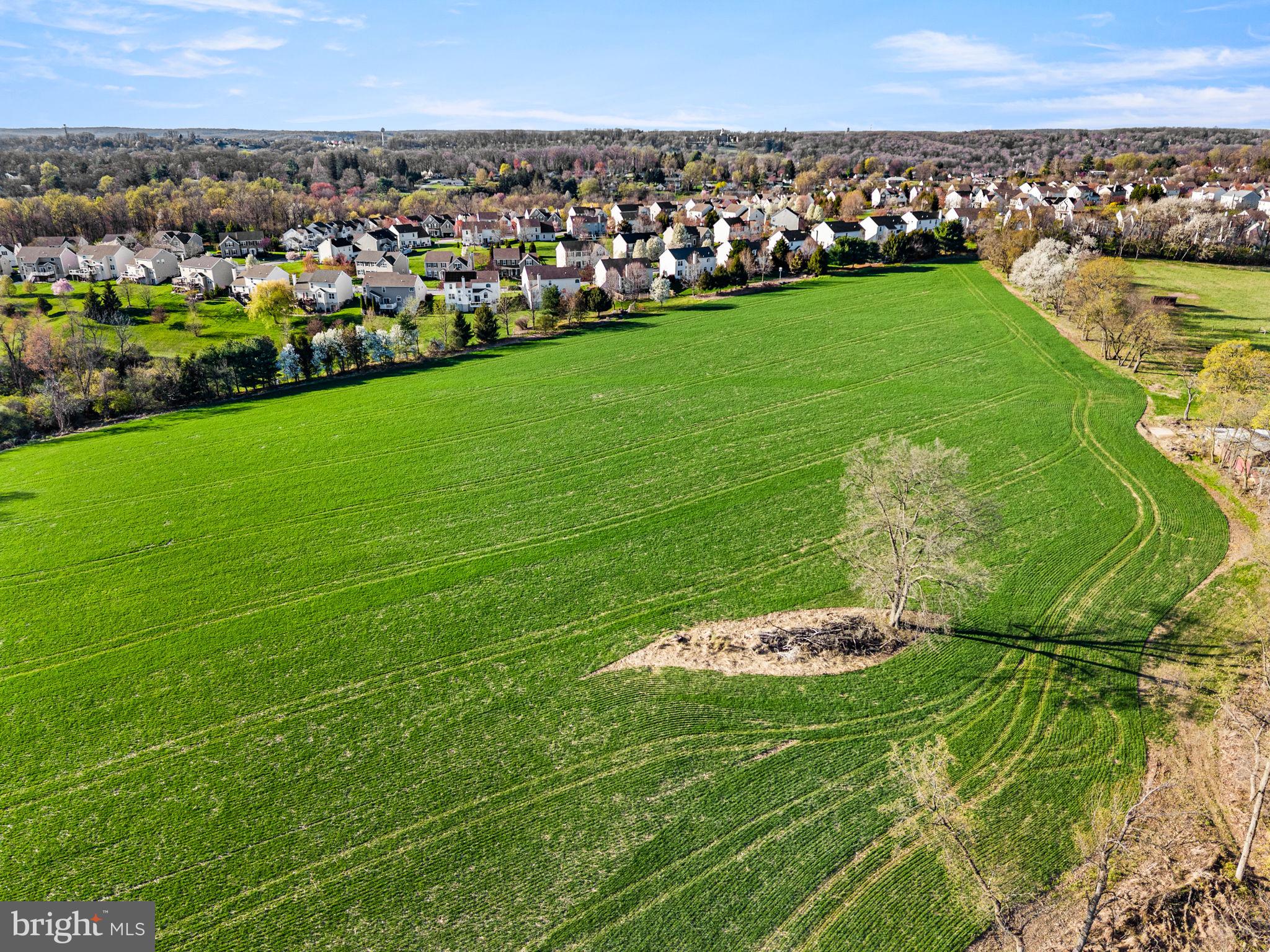 NONE AVAILABLE - Farm