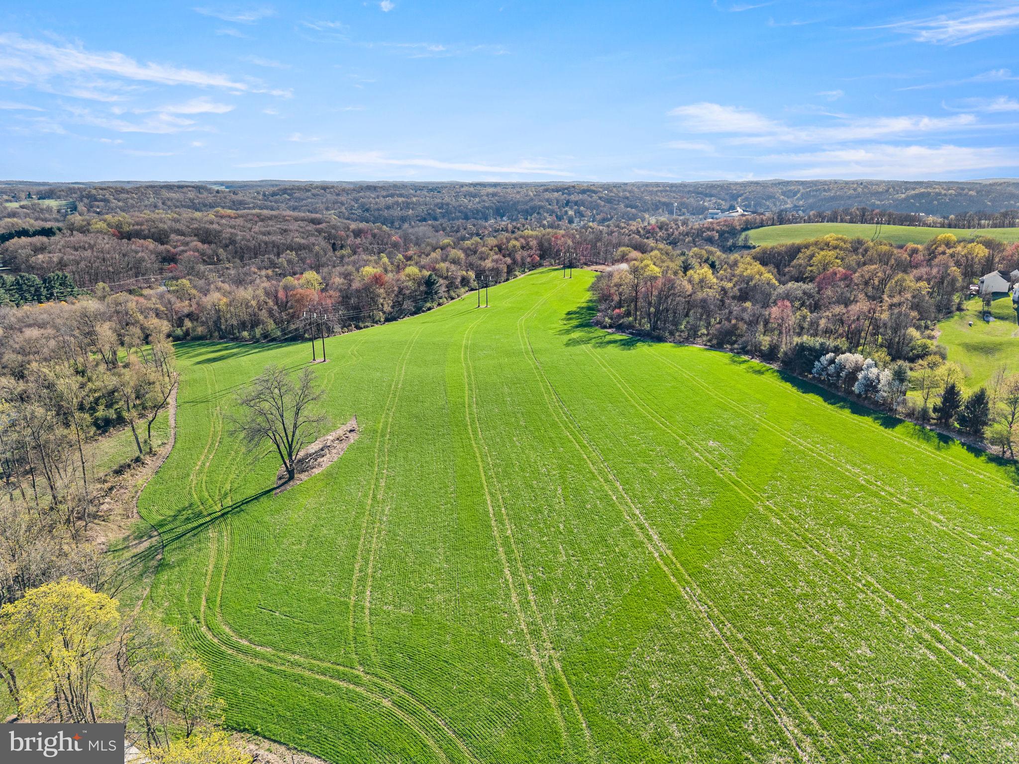 NONE AVAILABLE - Farm