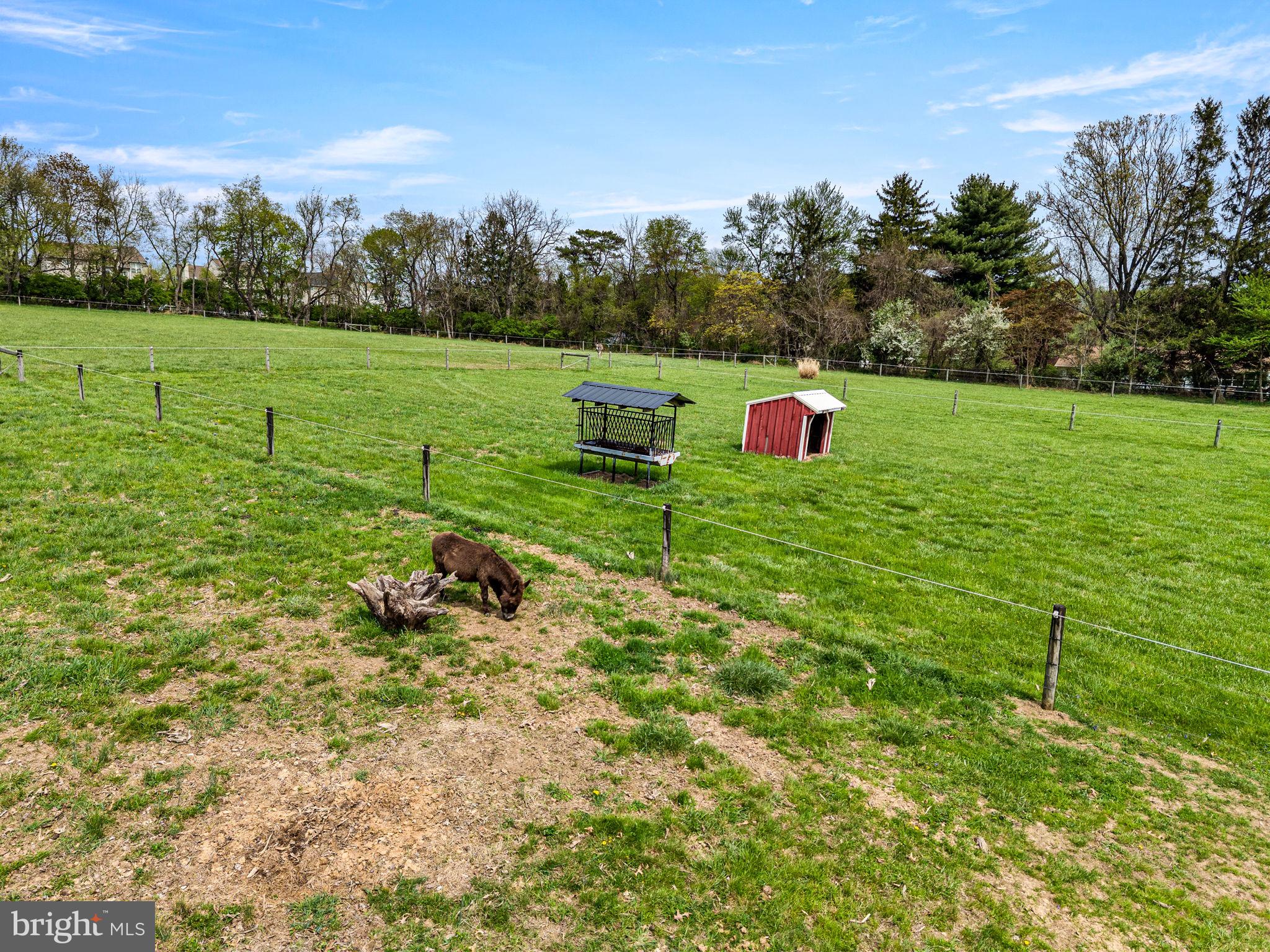 NONE AVAILABLE - Farm