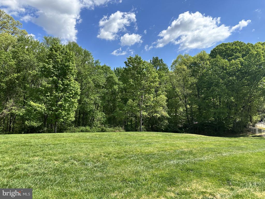 CARDINAL FOREST - Residential