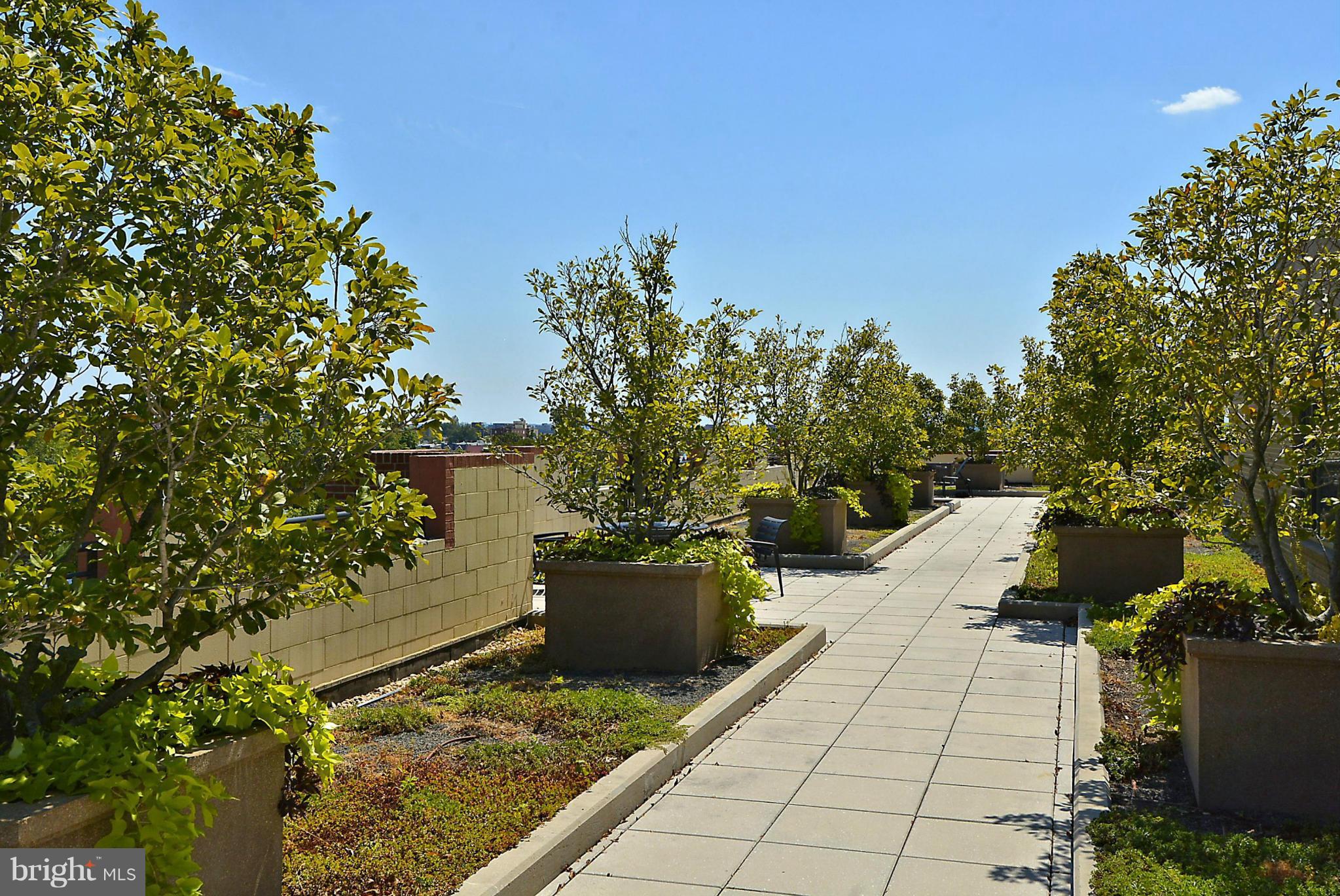 THE HENRY - Residential