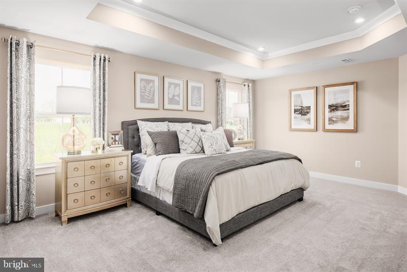 SPRINGETTSBURY TWP - Residential