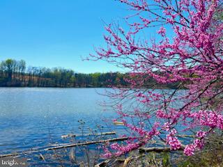 LAKE LINGANORE OAKDALE - Residential