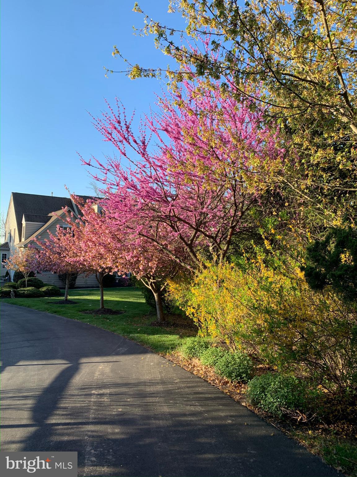 CEDAR HILL WOODS - Residential