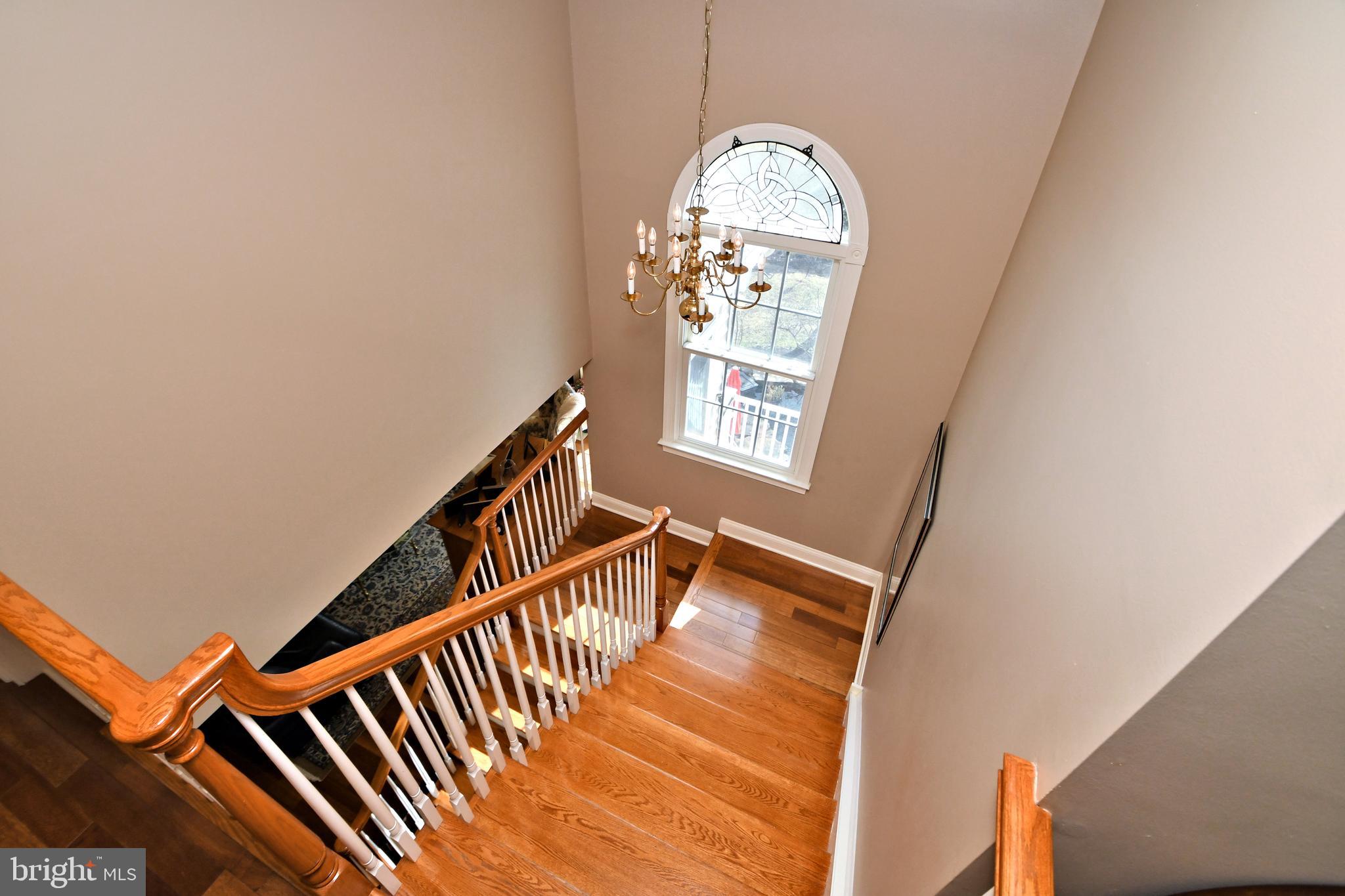 CEDAR HILL WOODS - Residential