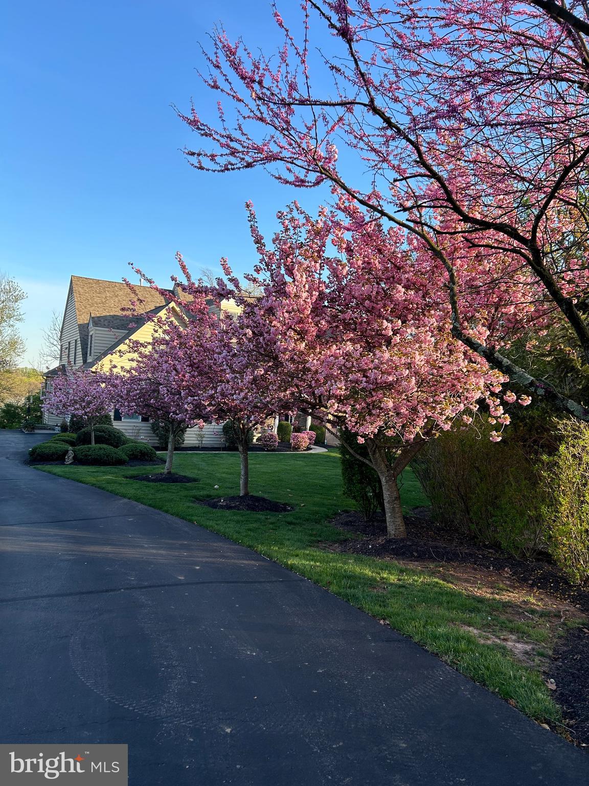 CEDAR HILL WOODS - Residential