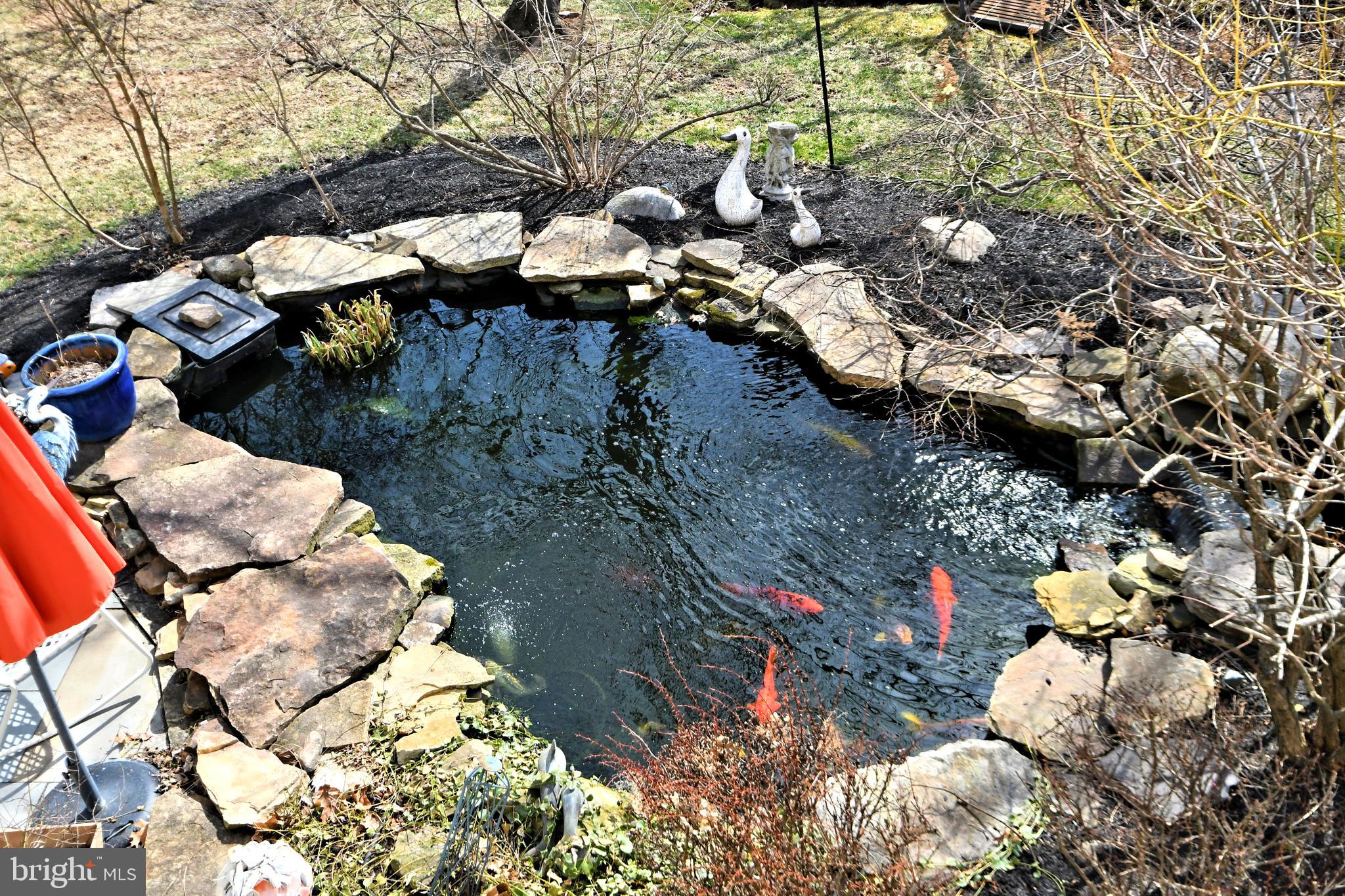 CEDAR HILL WOODS - Residential