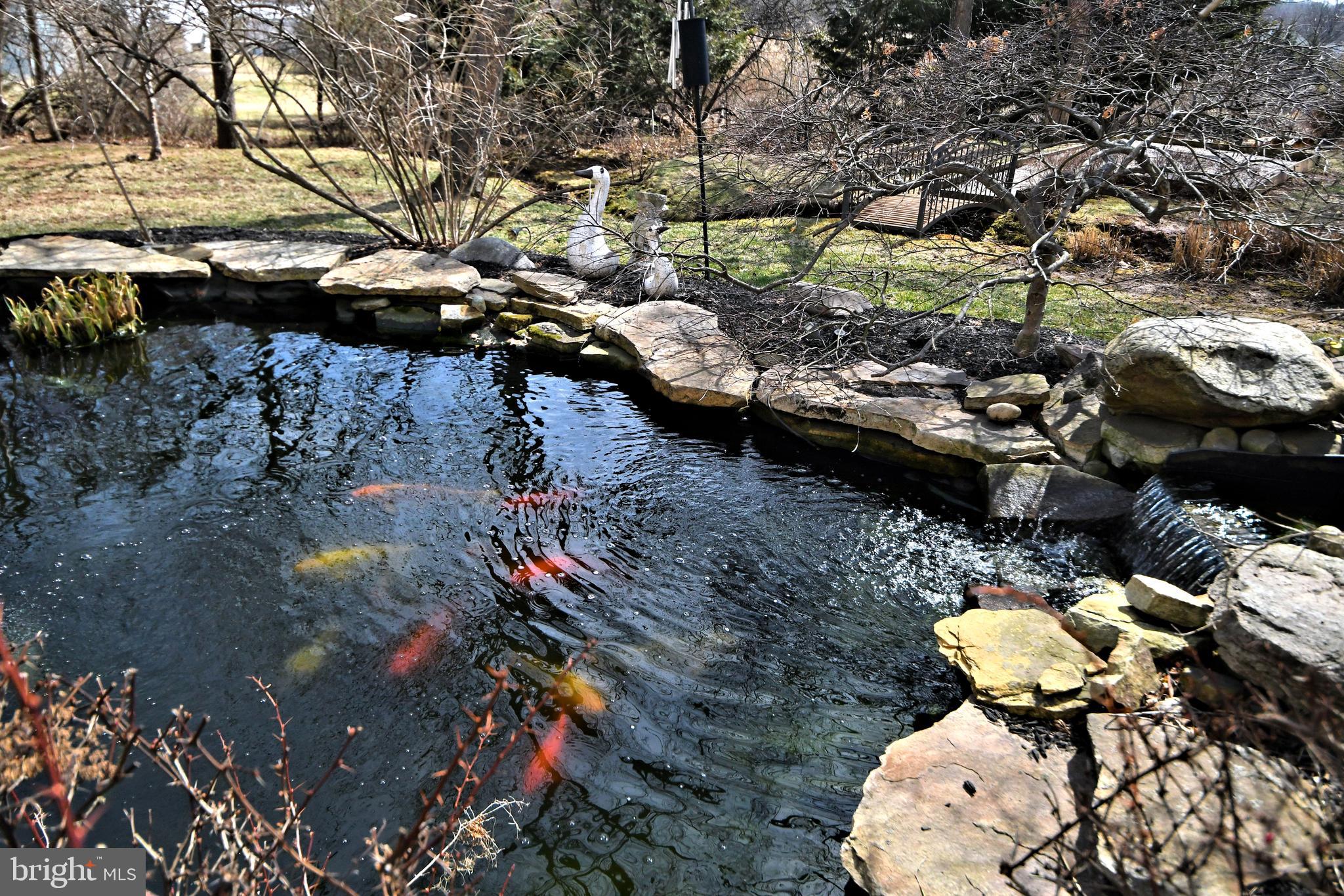 CEDAR HILL WOODS - Residential