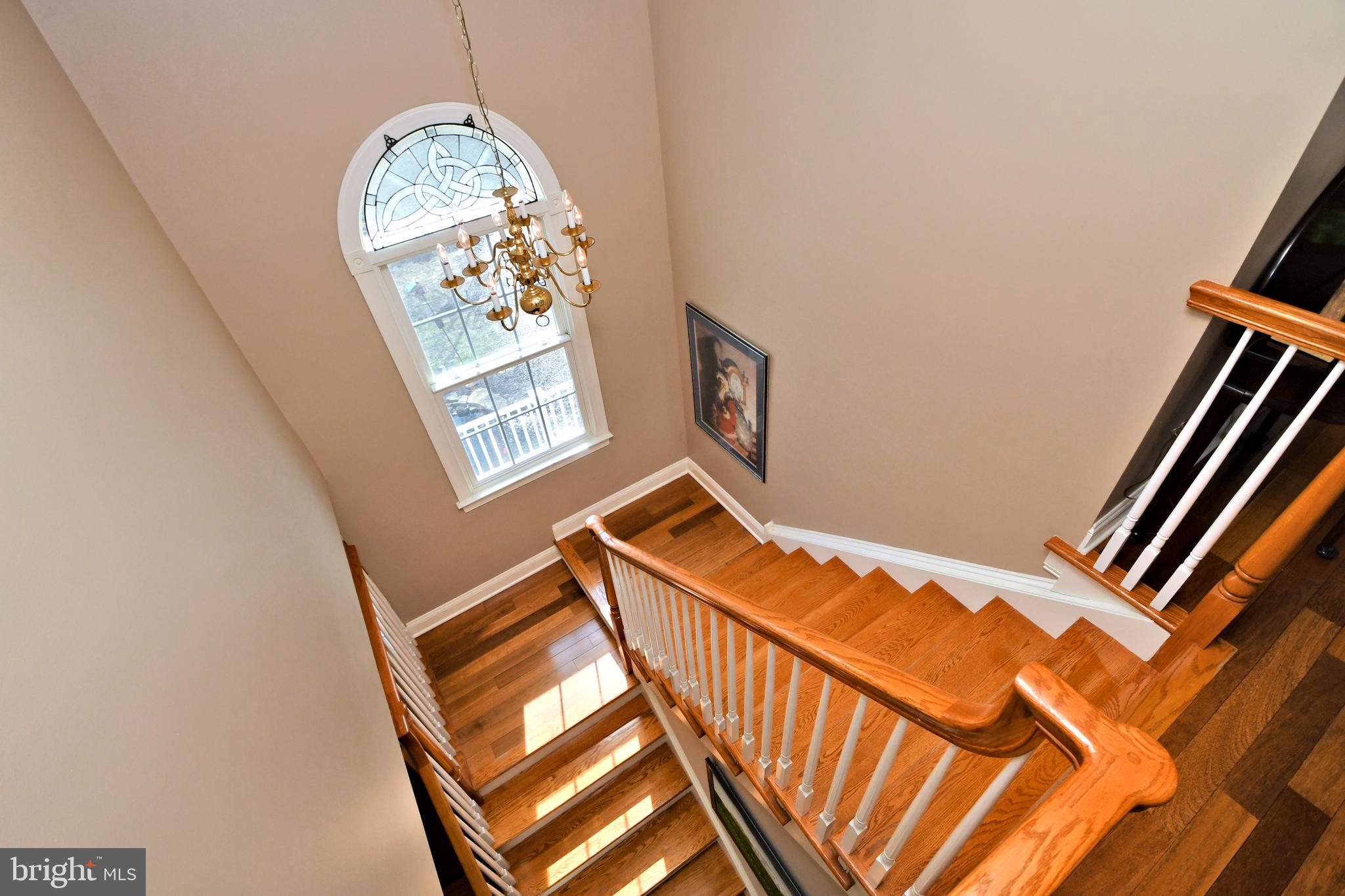 CEDAR HILL WOODS - Residential