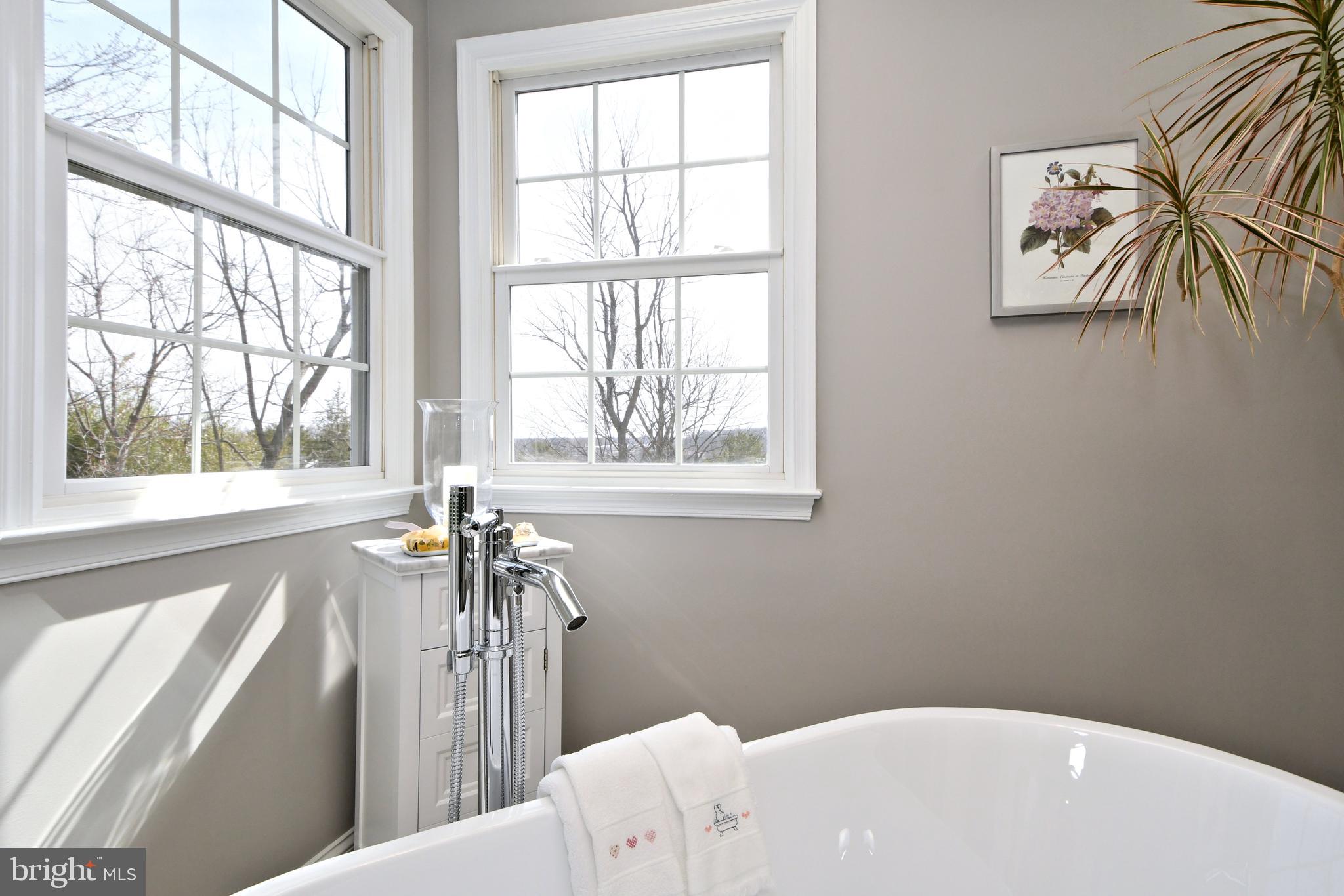 CEDAR HILL WOODS - Residential