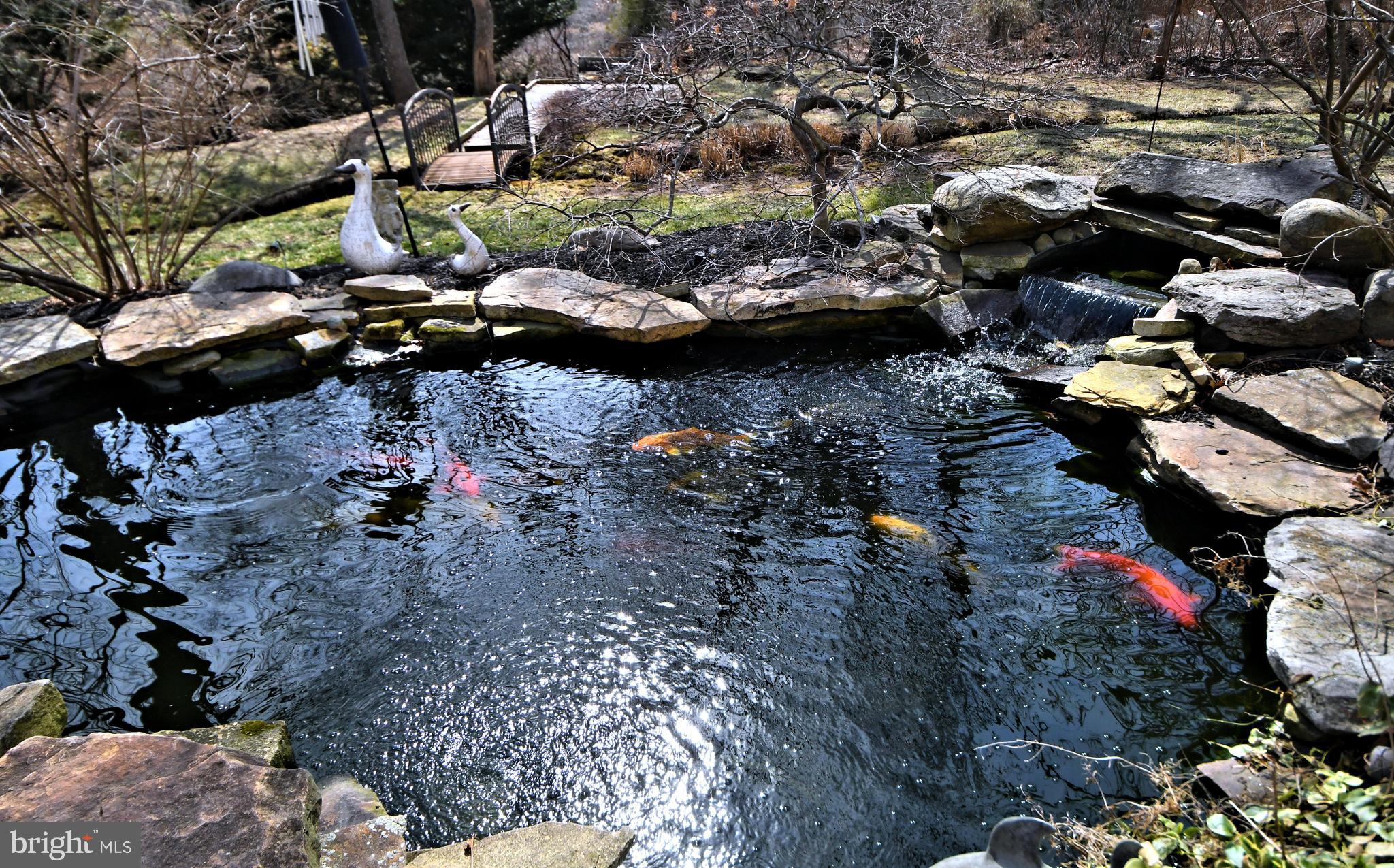 CEDAR HILL WOODS - Residential