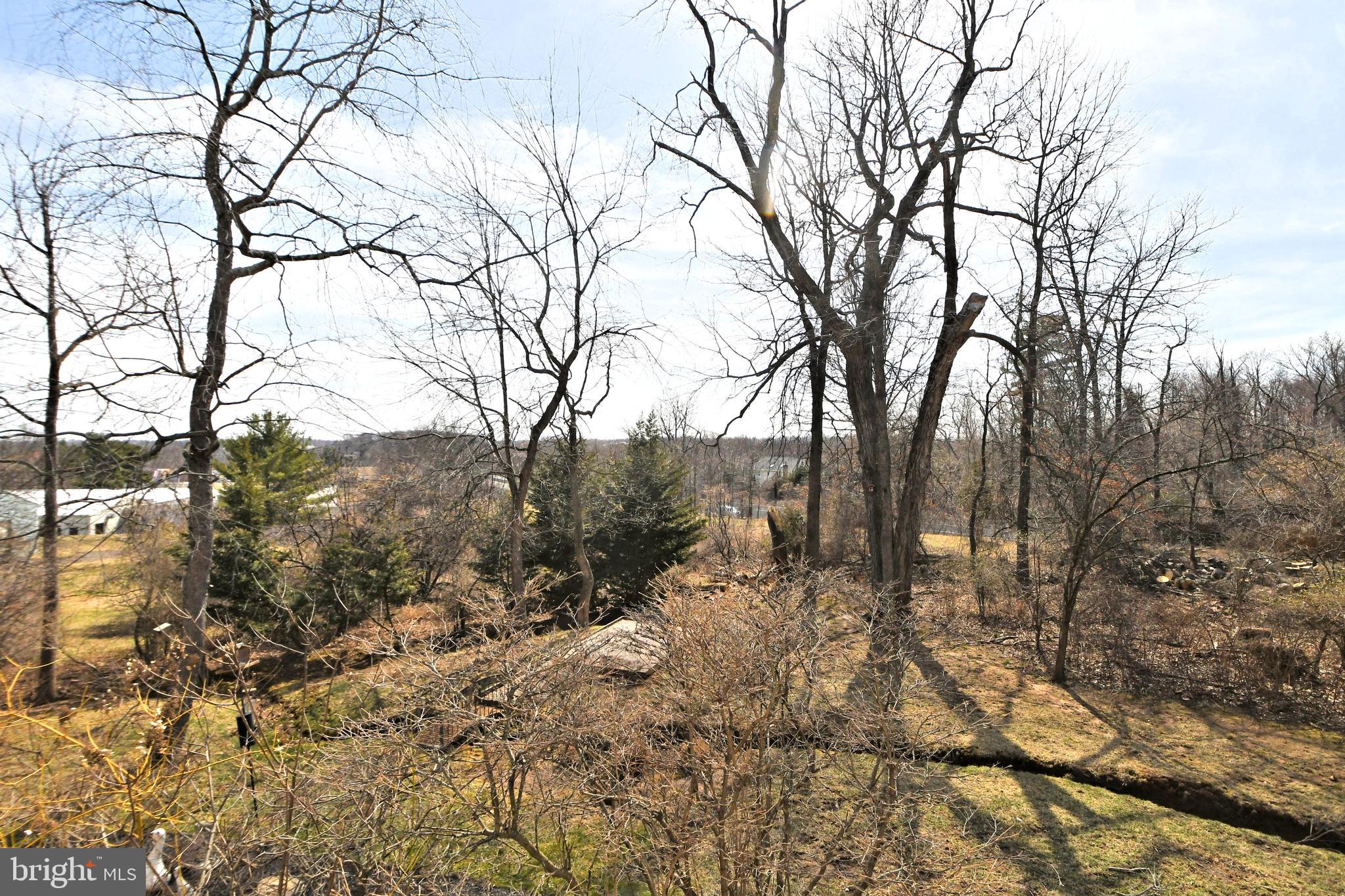 CEDAR HILL WOODS - Residential