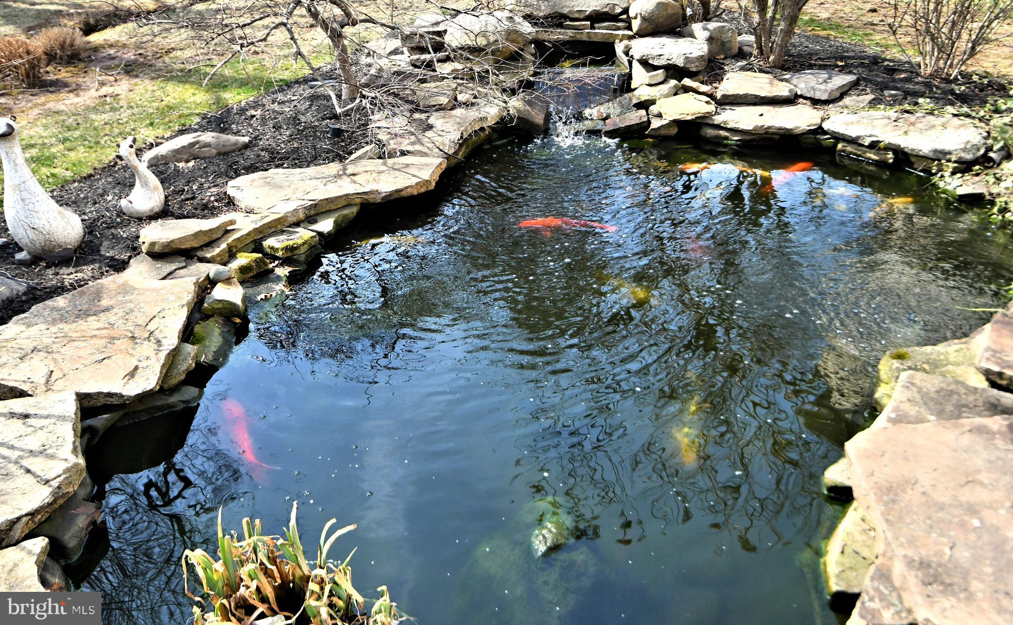 CEDAR HILL WOODS - Residential