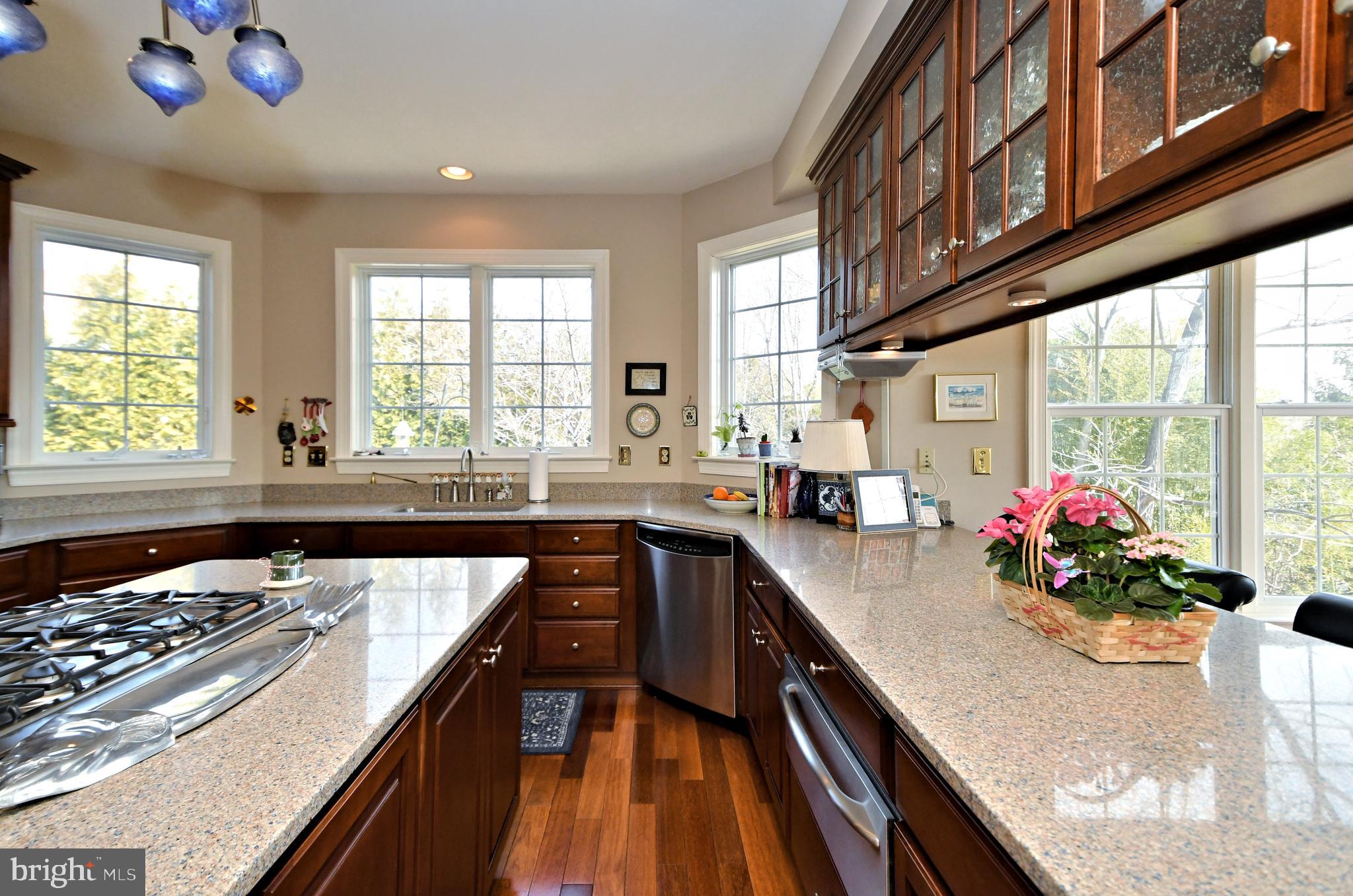 CEDAR HILL WOODS - Residential