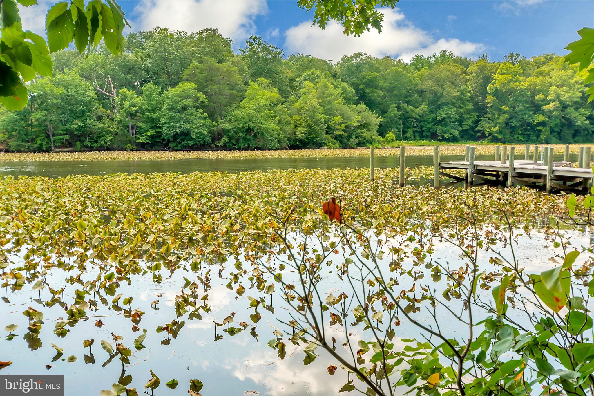 AQUIA HARBOUR - Residential