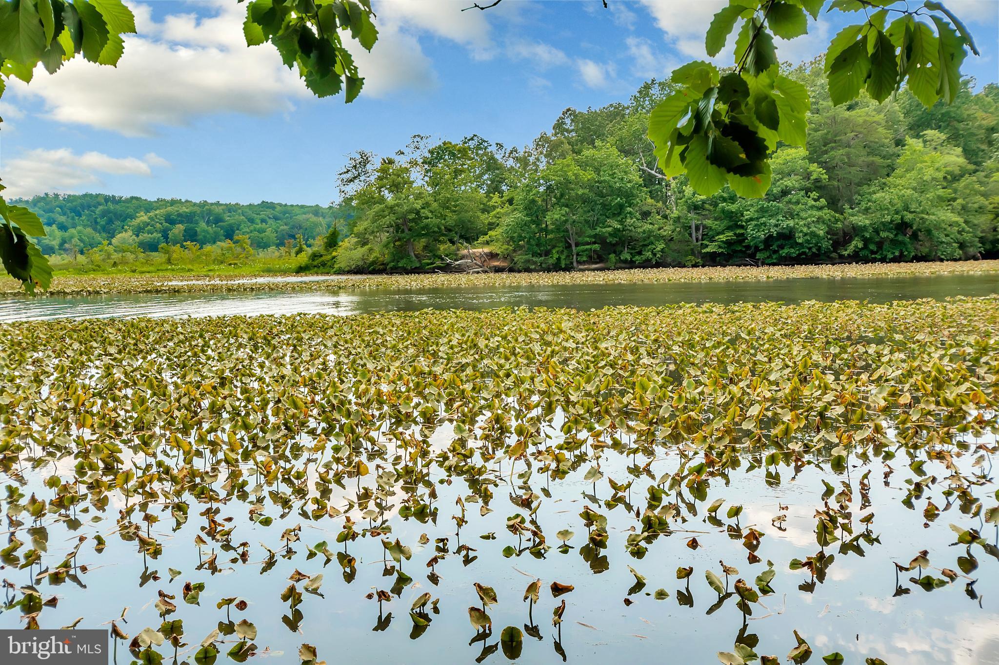 AQUIA HARBOUR - Residential