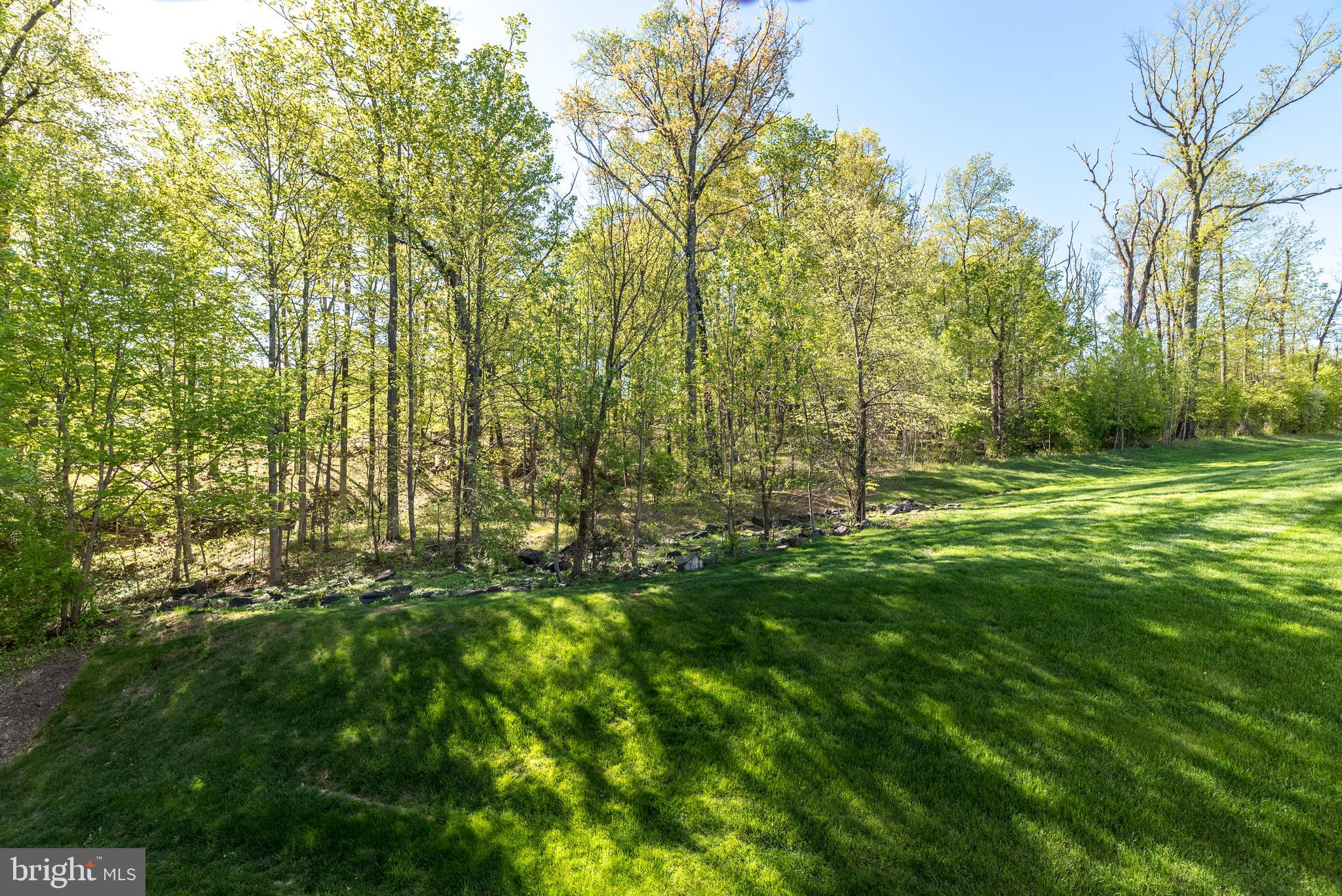 FOREST RIDGE - Residential