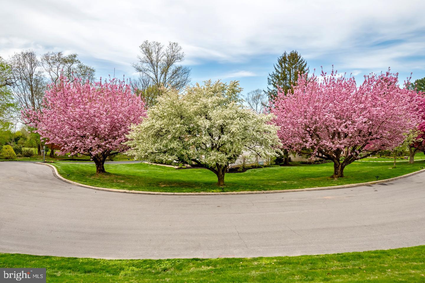WYNDMOOR - Residential
