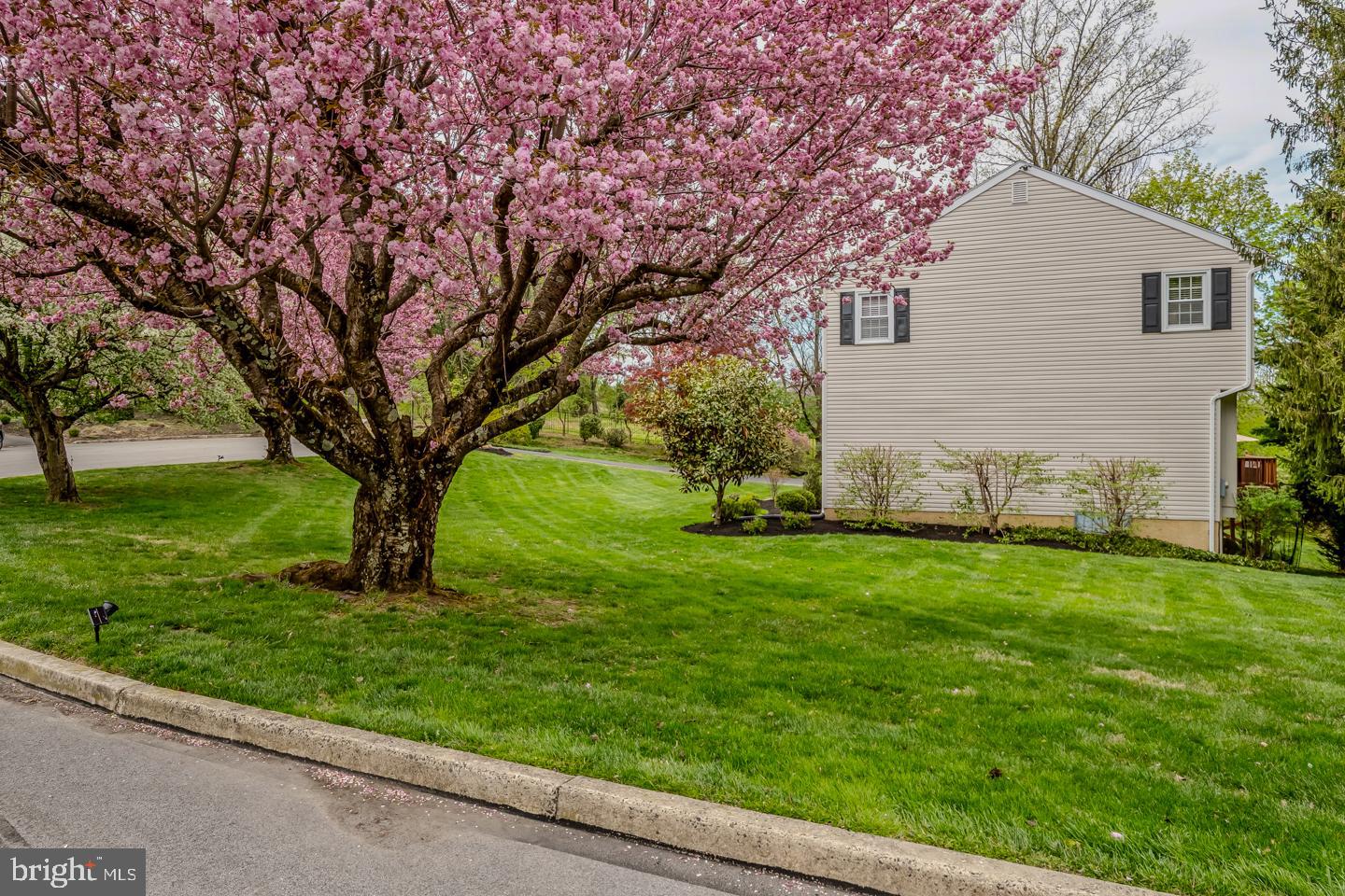 WYNDMOOR - Residential