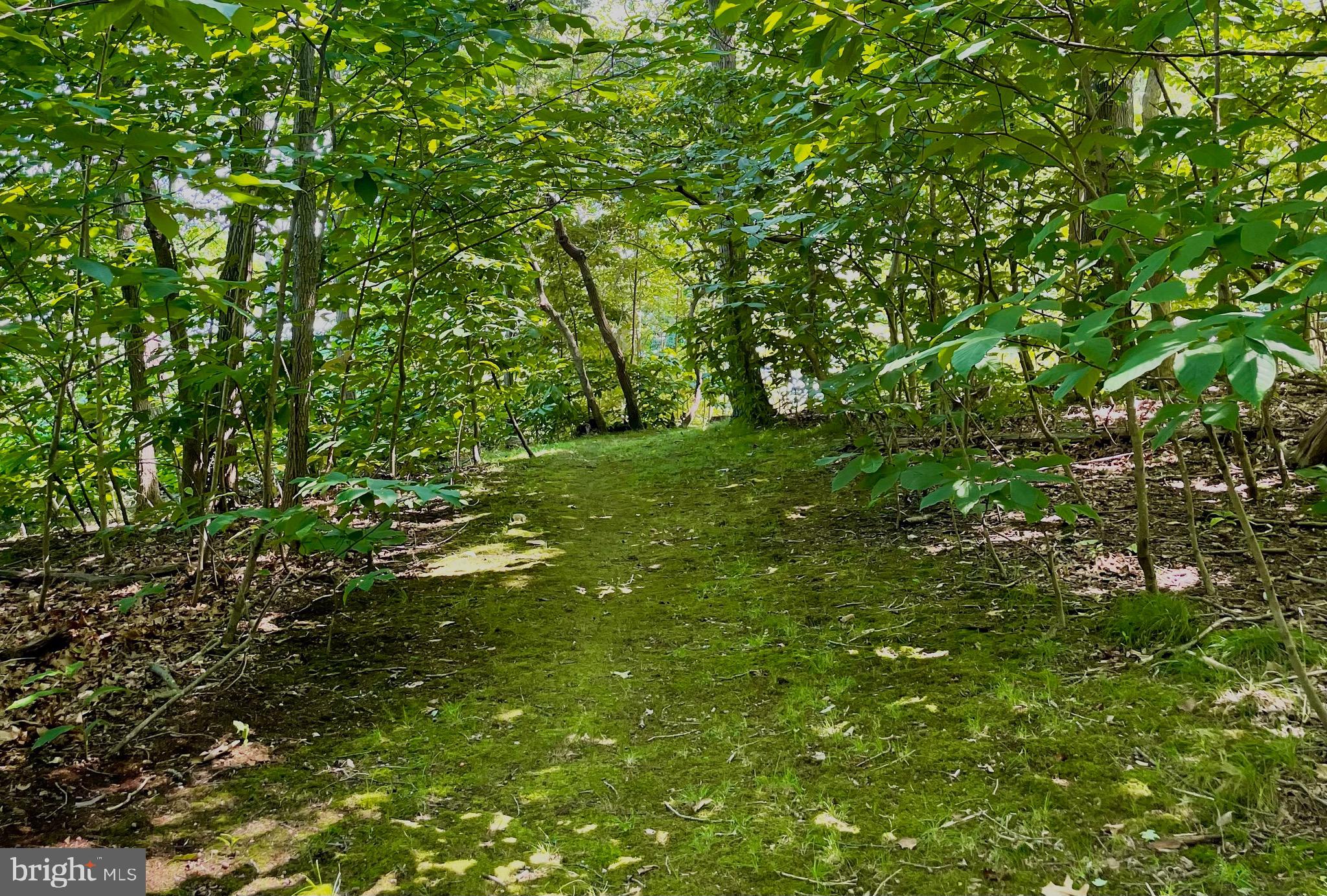 KINNAIRDS POINT - Residential