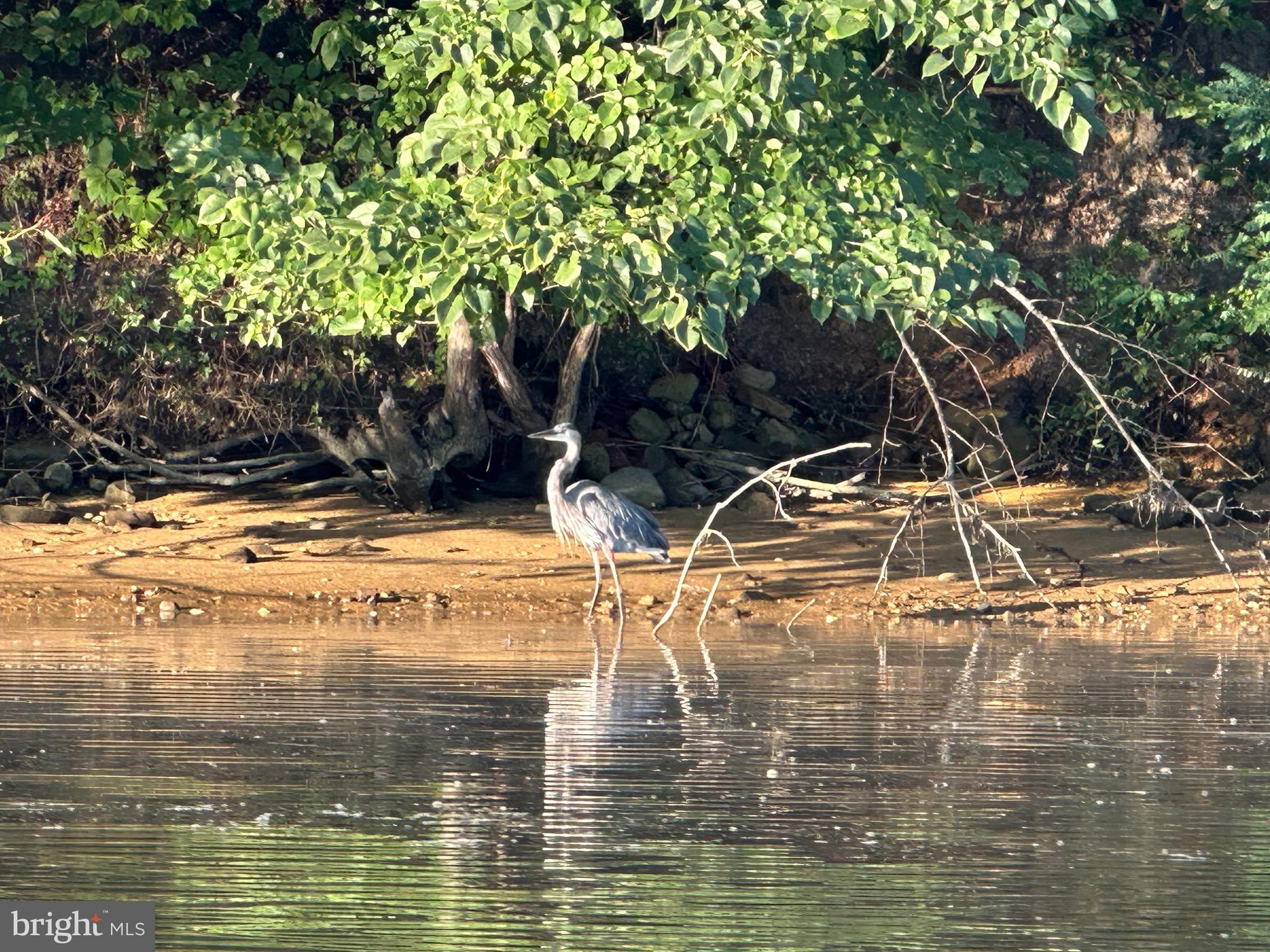 KINNAIRDS POINT - Residential