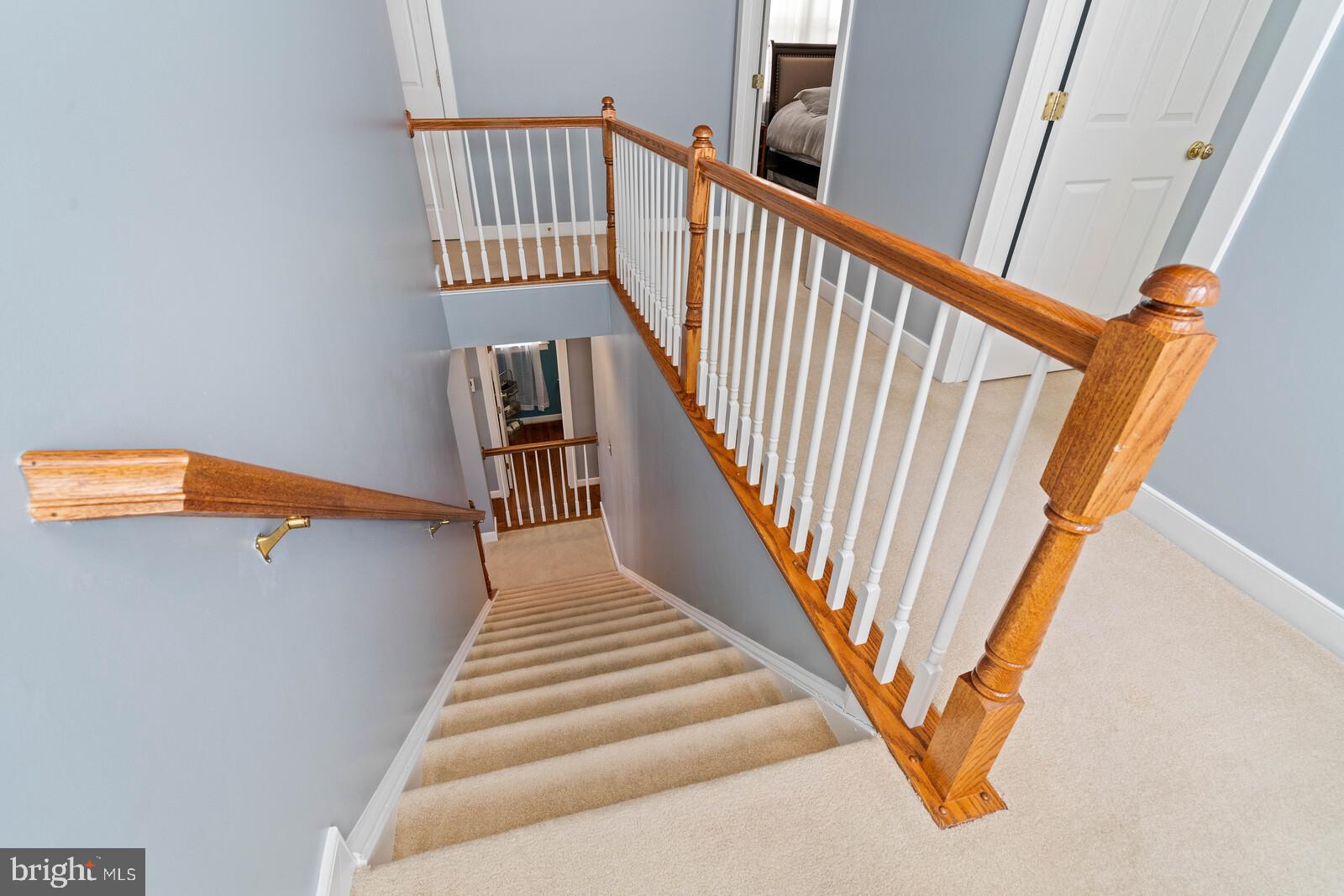 MEADOWS AT MORRIS FARM - Residential