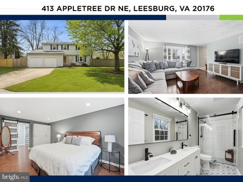 413 APPLETREE DRIVE NE LEESBURG VA 20176